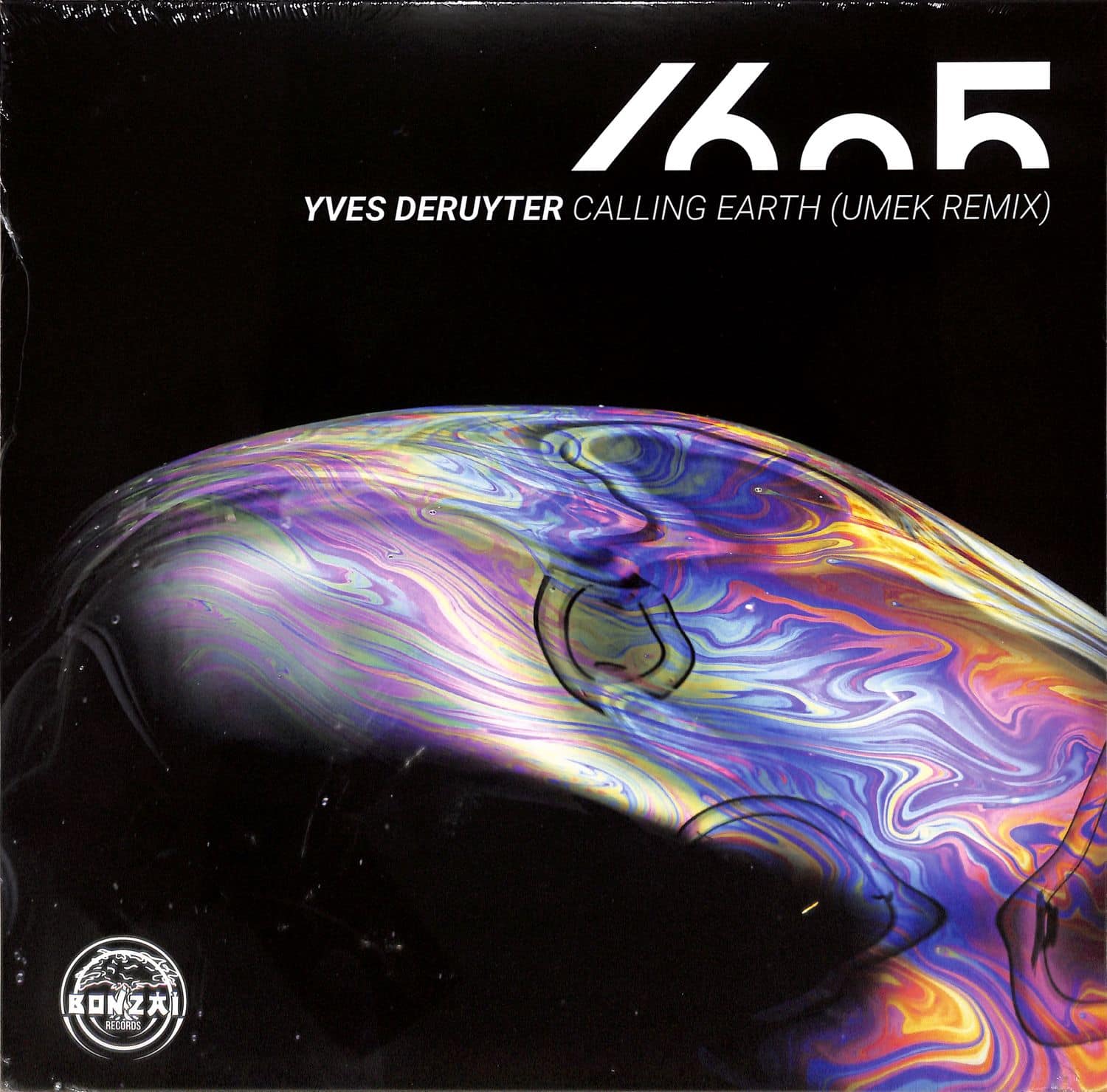 Yves Deruyter - CALLING EARTH 