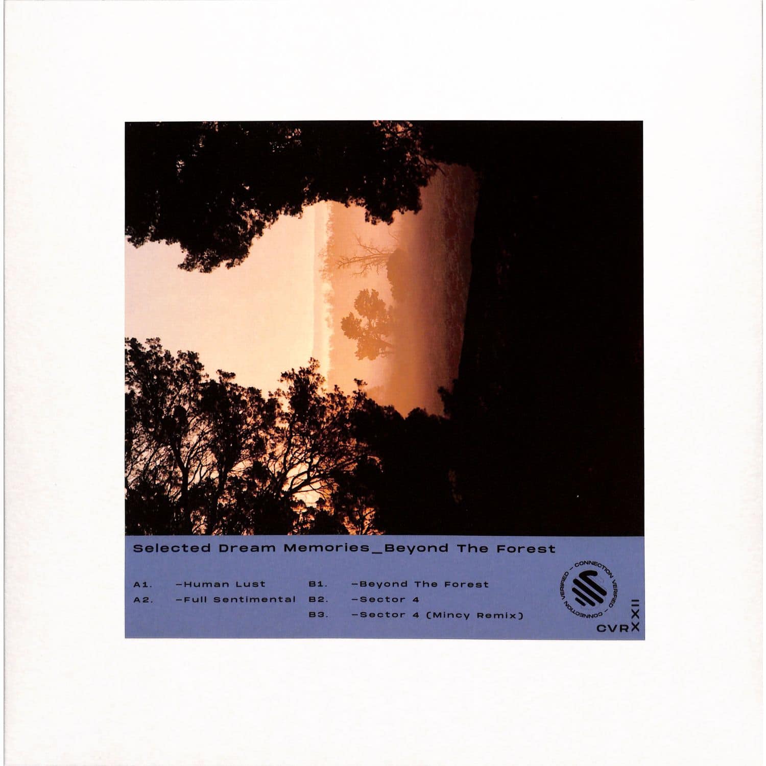 Selected Dreams Memories - BEYOND THE FOREST