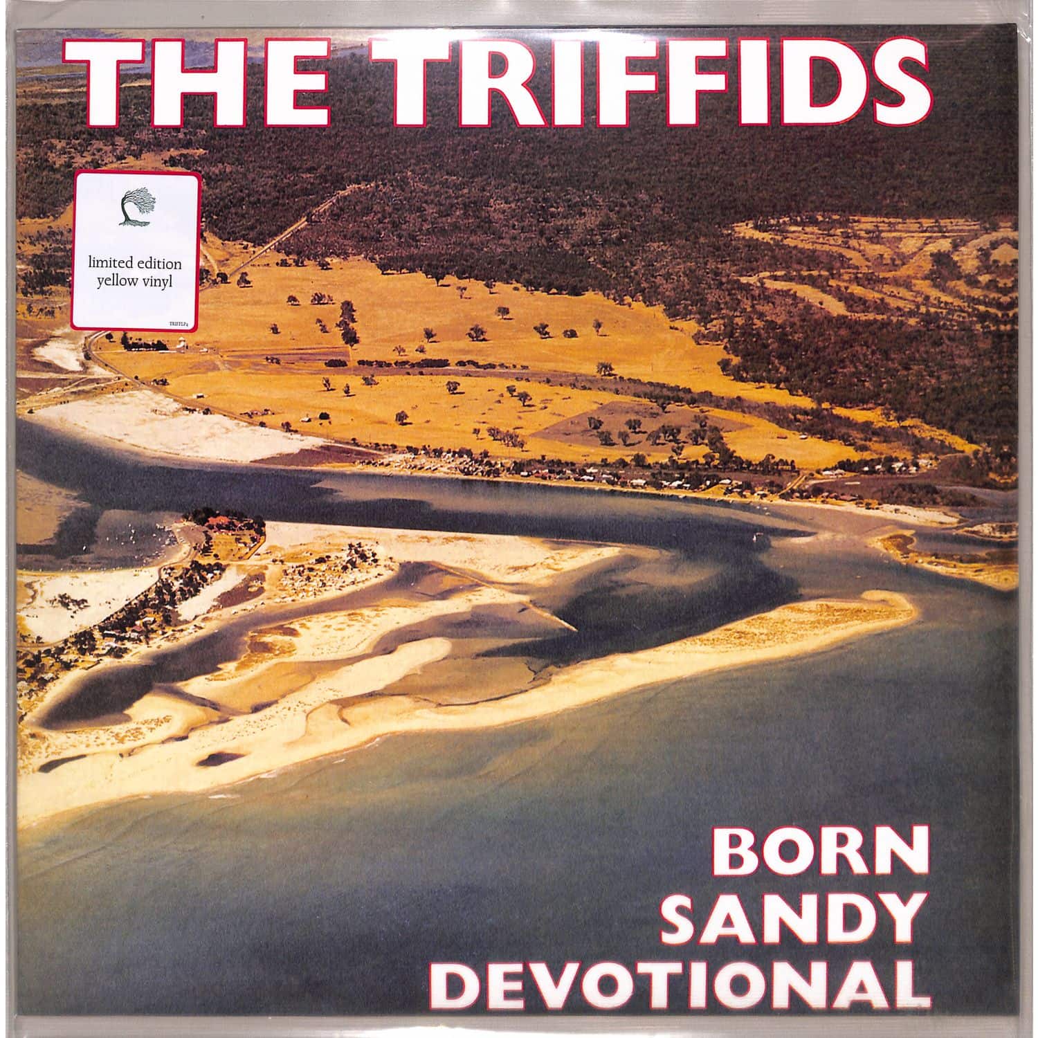 The Triffids - BORN SANDY DEVOTIONAL 
