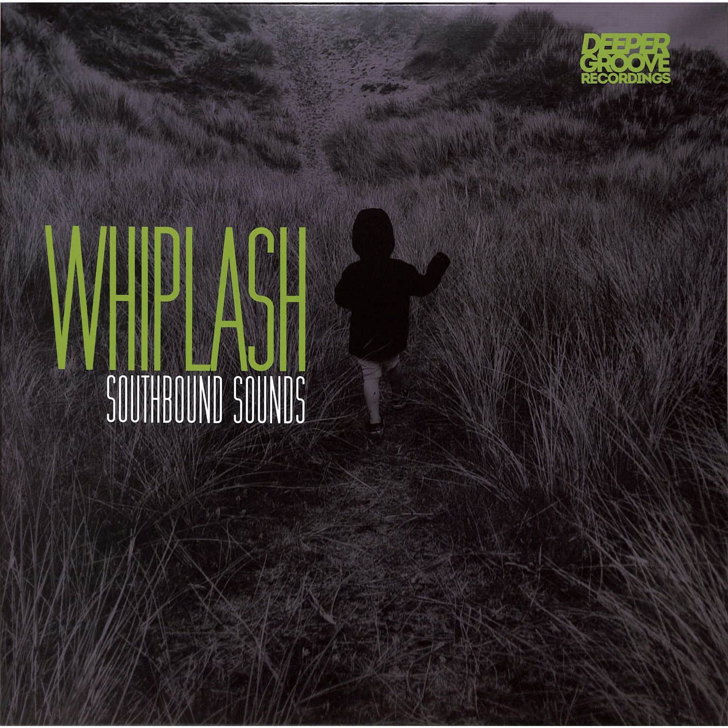 Southbound Sounds - WHIPLASH INC GLENN DAVIS REMIX