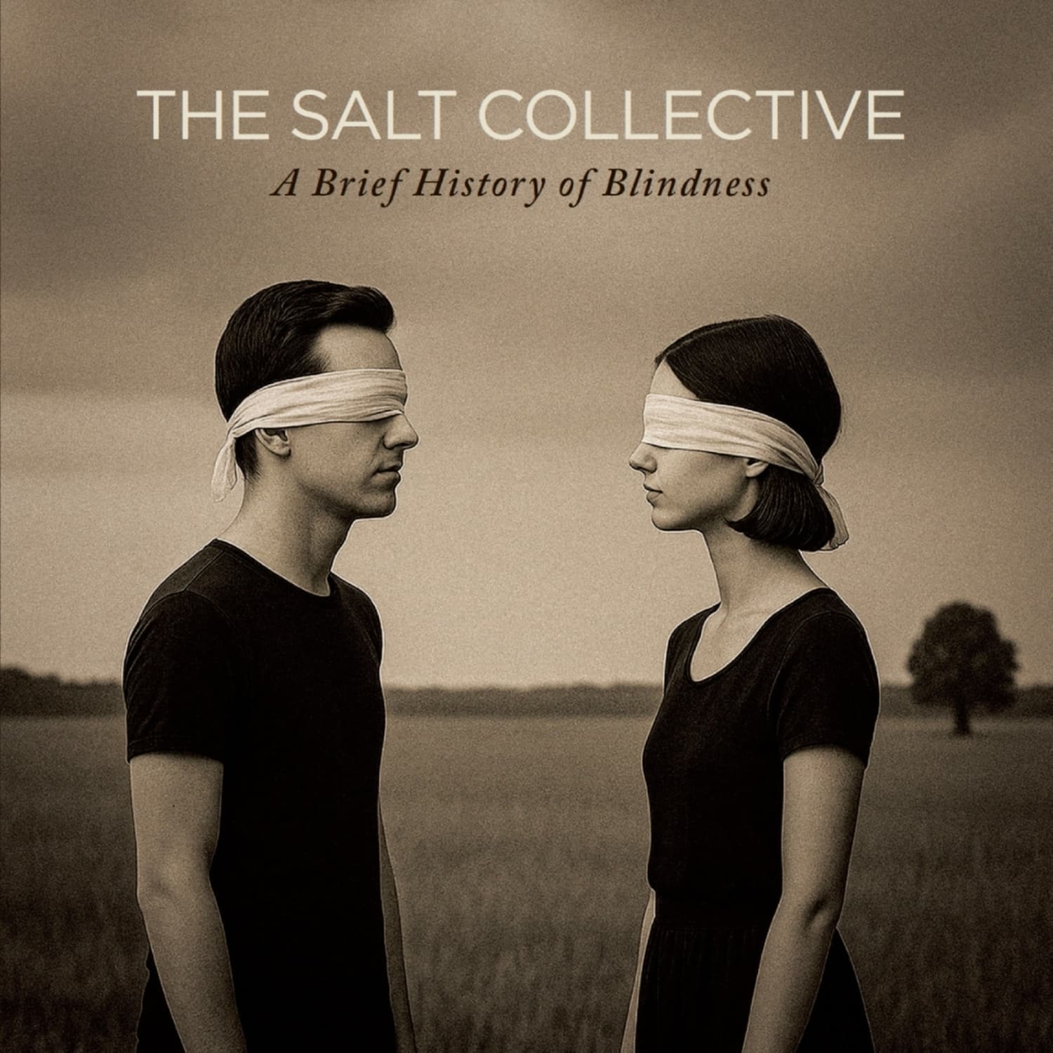 Salt Collective - A BRIEF HISTORY OF BLINDNESS