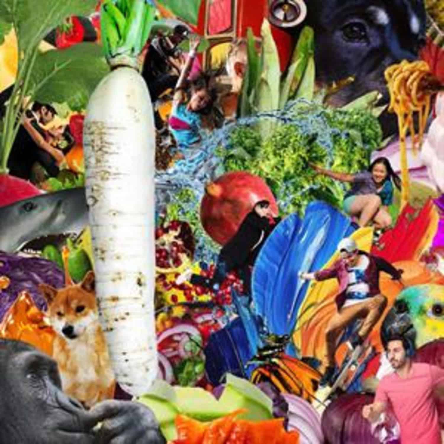 Jetski - THE RADIANT RADISH