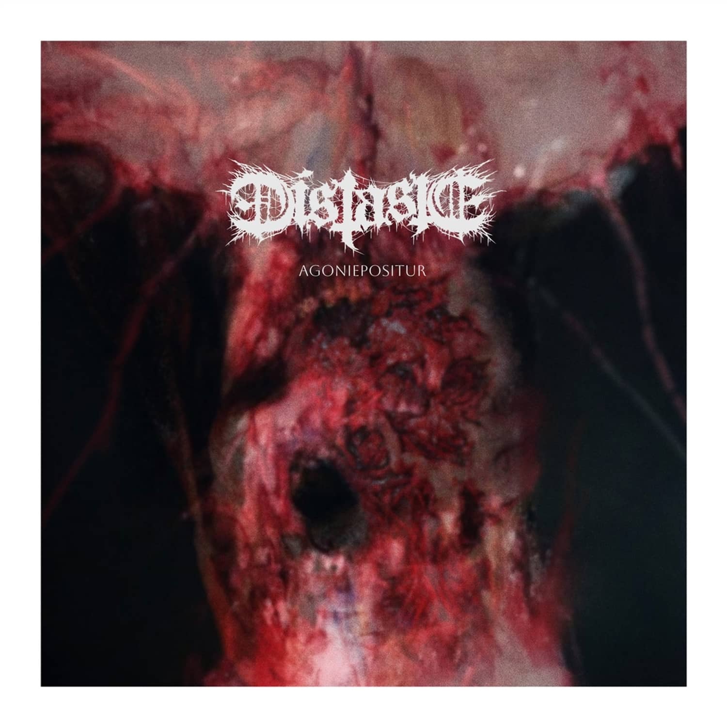 Distaste - AGONIEPOSITUR 