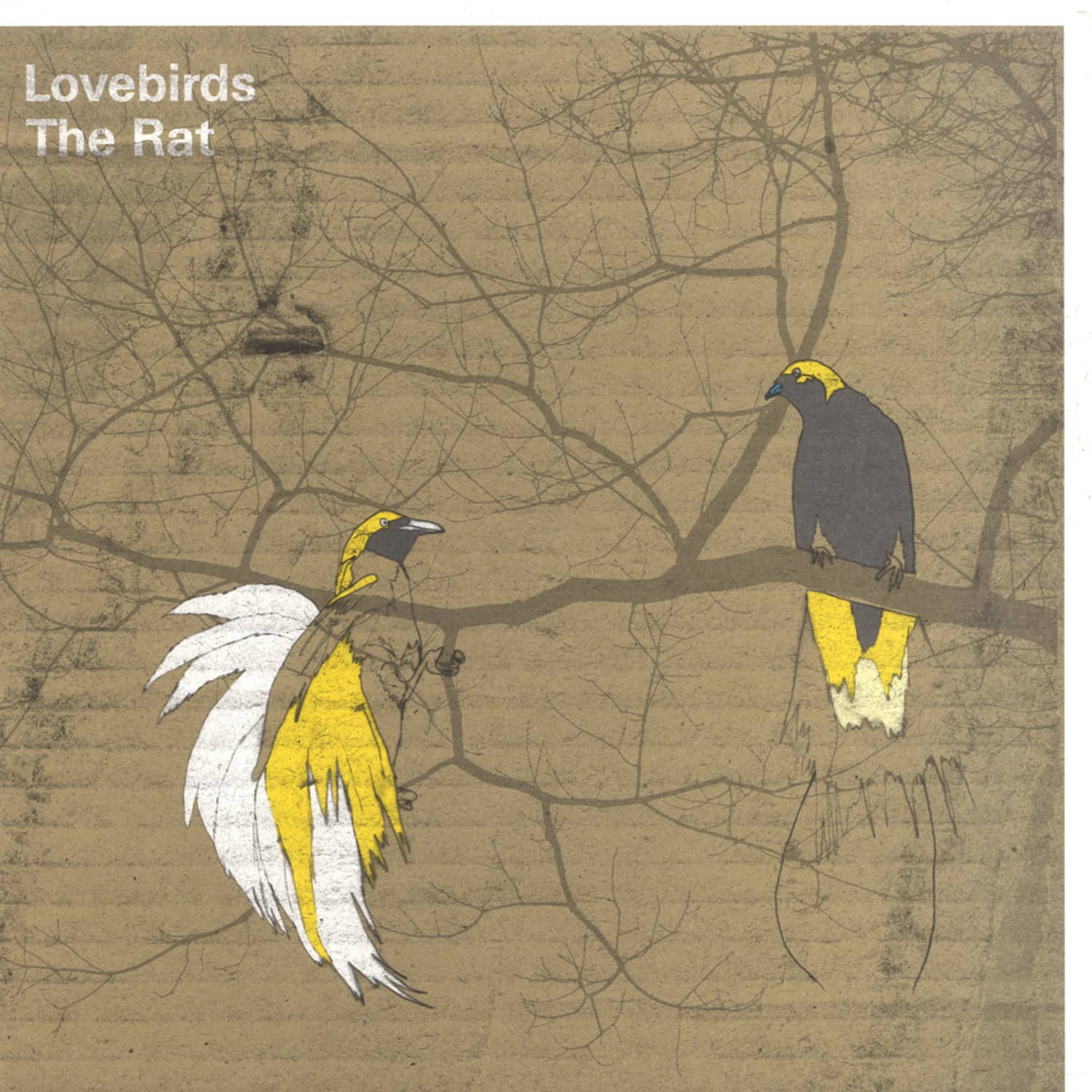 Lovebirds - THE RAT