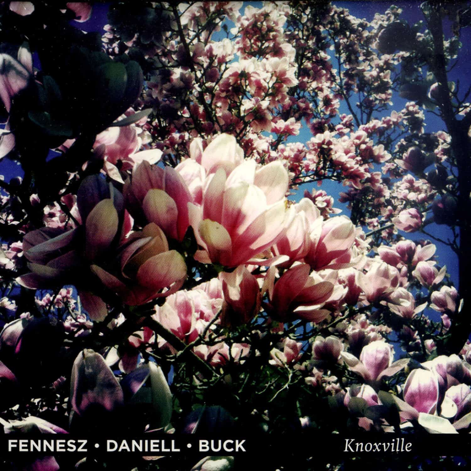 Fennesz / Daniell / Buck - KNOXVILLE 