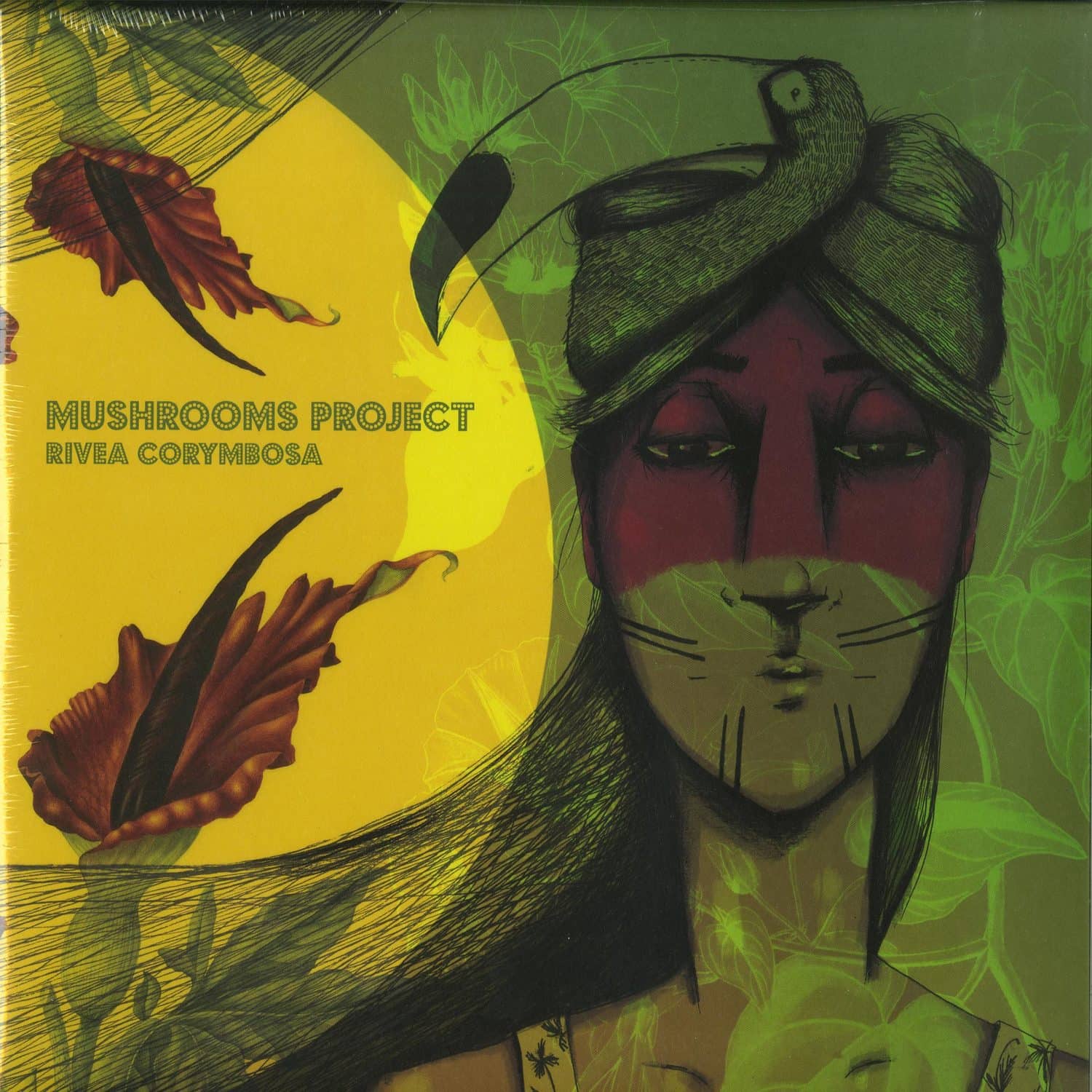 Mushrooms Project - RIVEA CORYMBOSA 