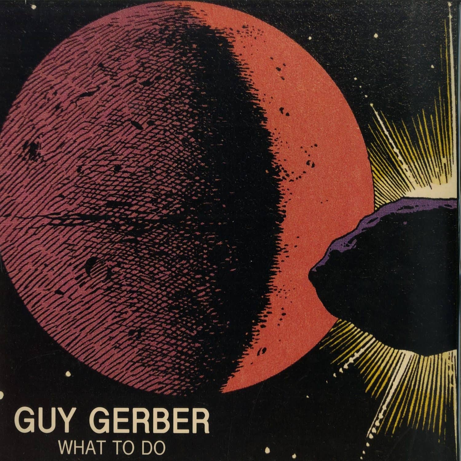 Guy Gerber - WHAT TO DO