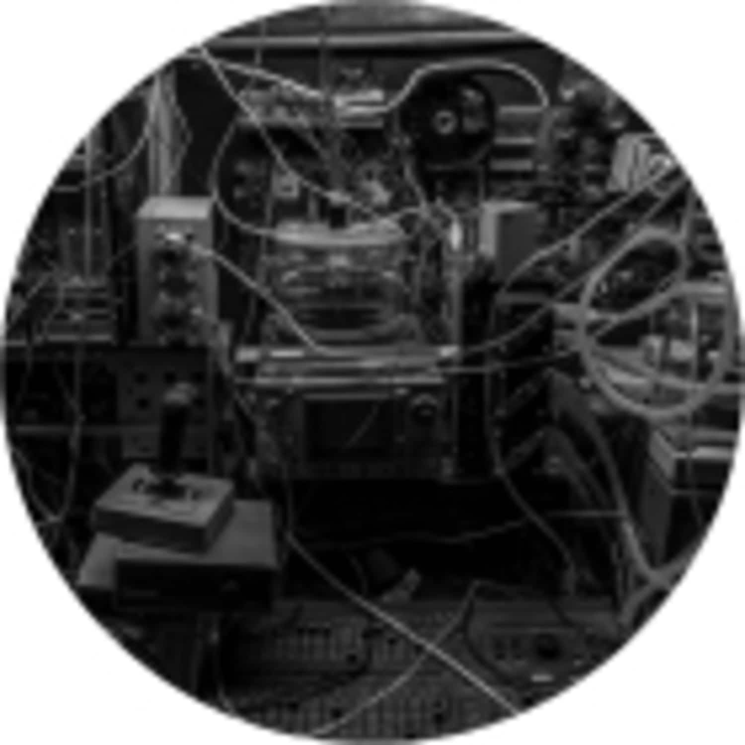 Silicon Scally - SKODA BANGER