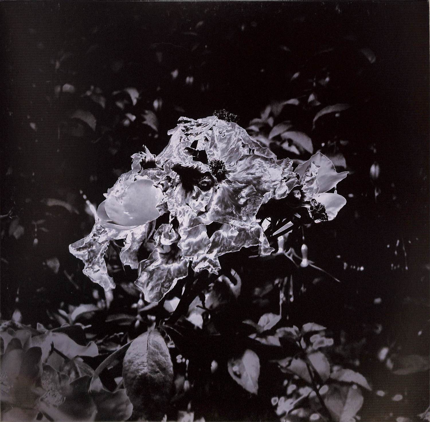 unperson - THE GHOSTS THAT GAVE EP