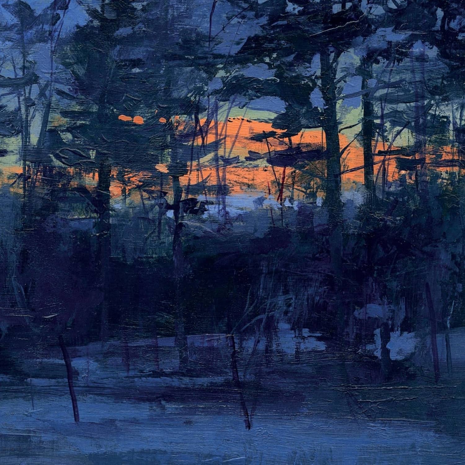 Animal Hospital - SHELF LIFE 