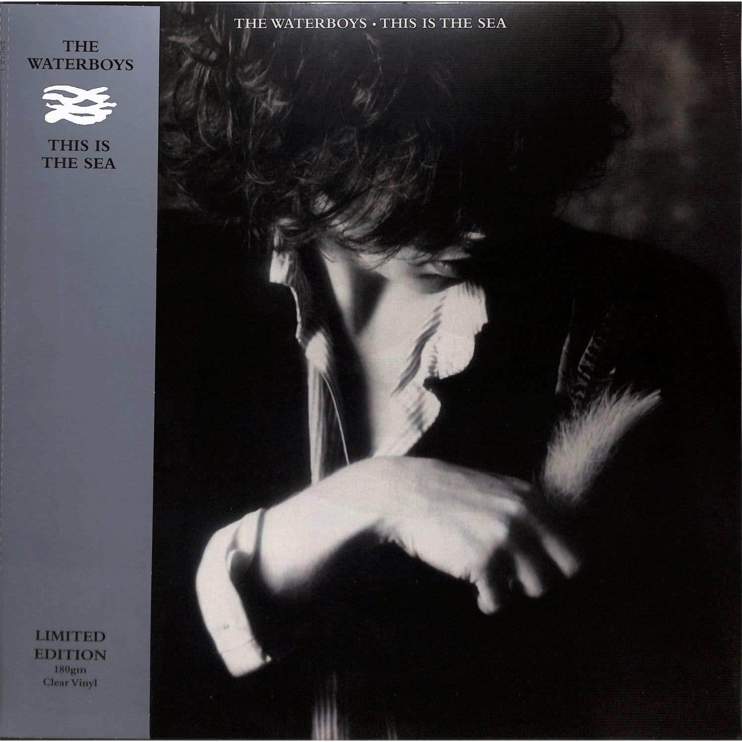 Waterboys - THIS IS THE SEA 