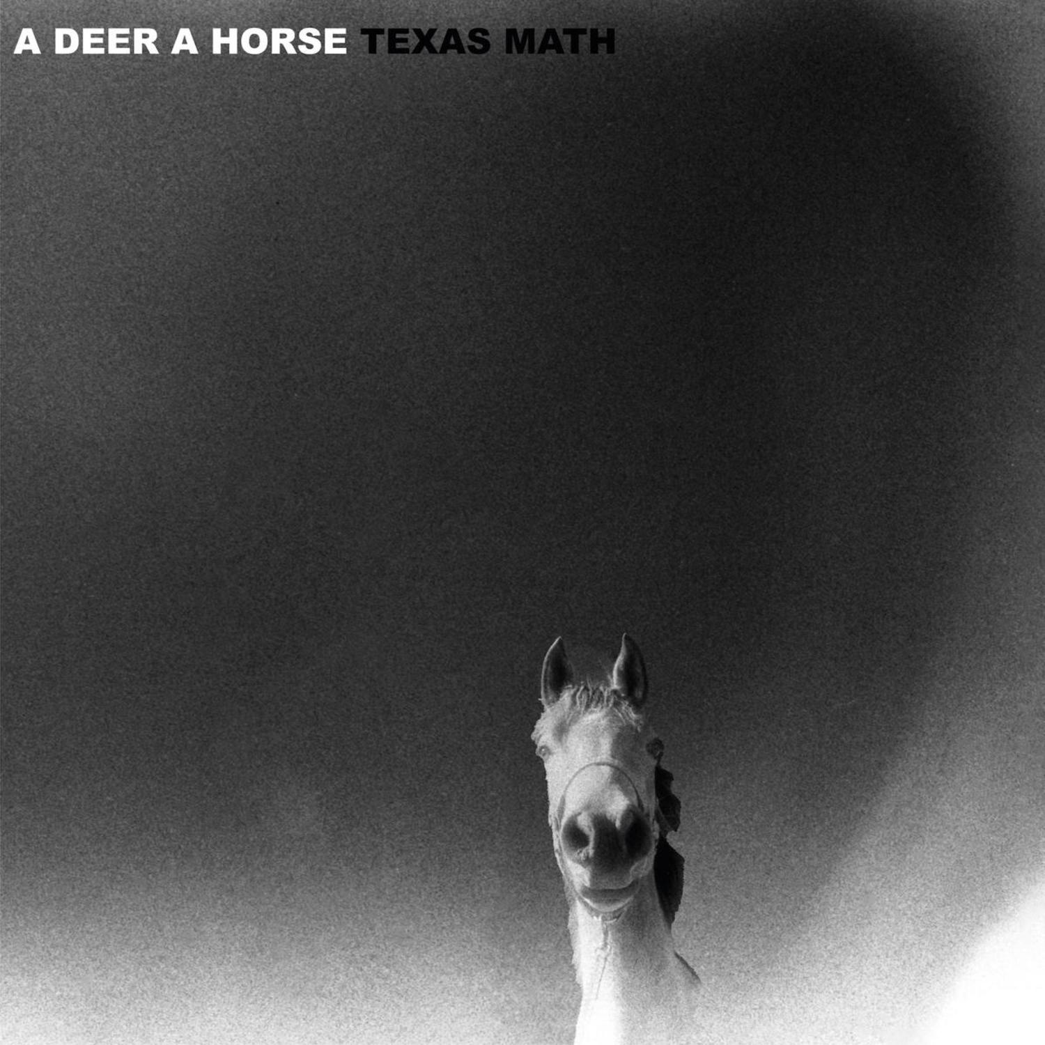 A Deer A Horse - TEXAS MATH 