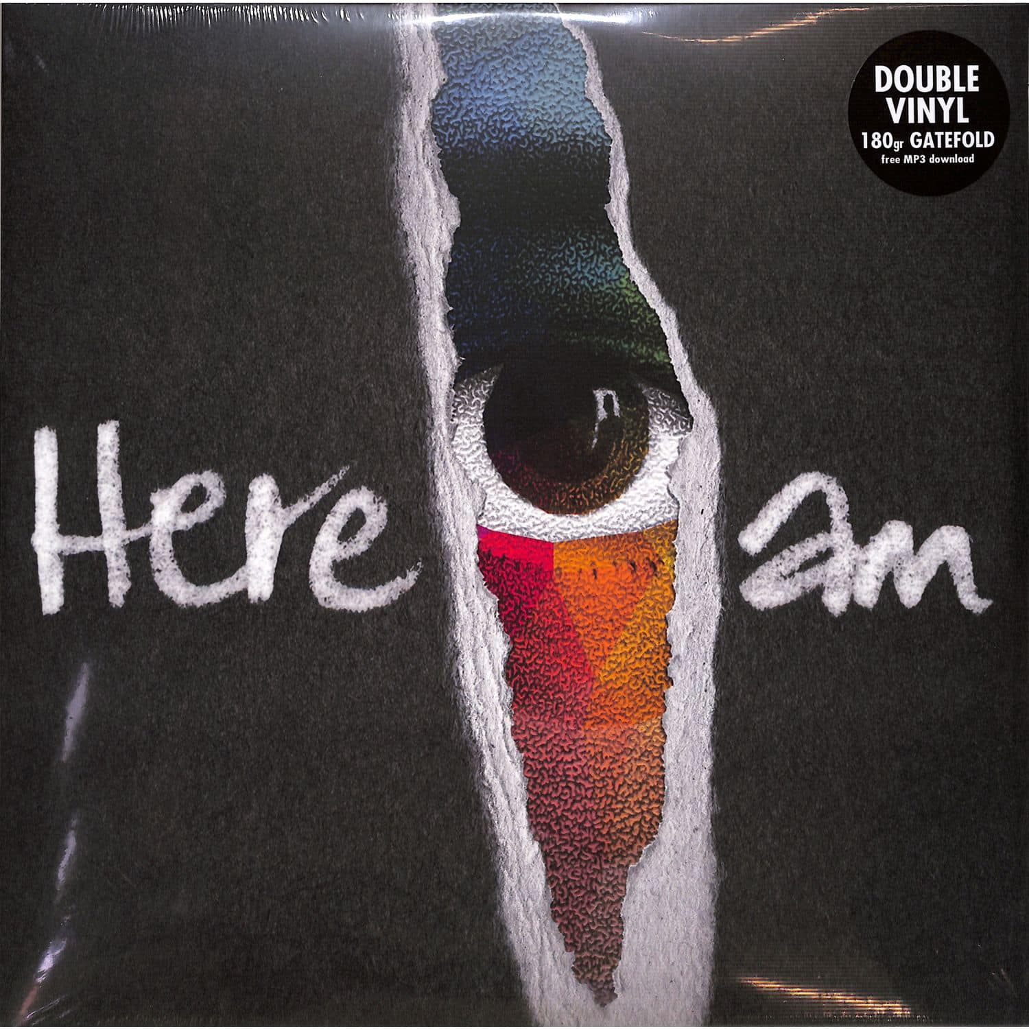 Groundation - HERE I AM 