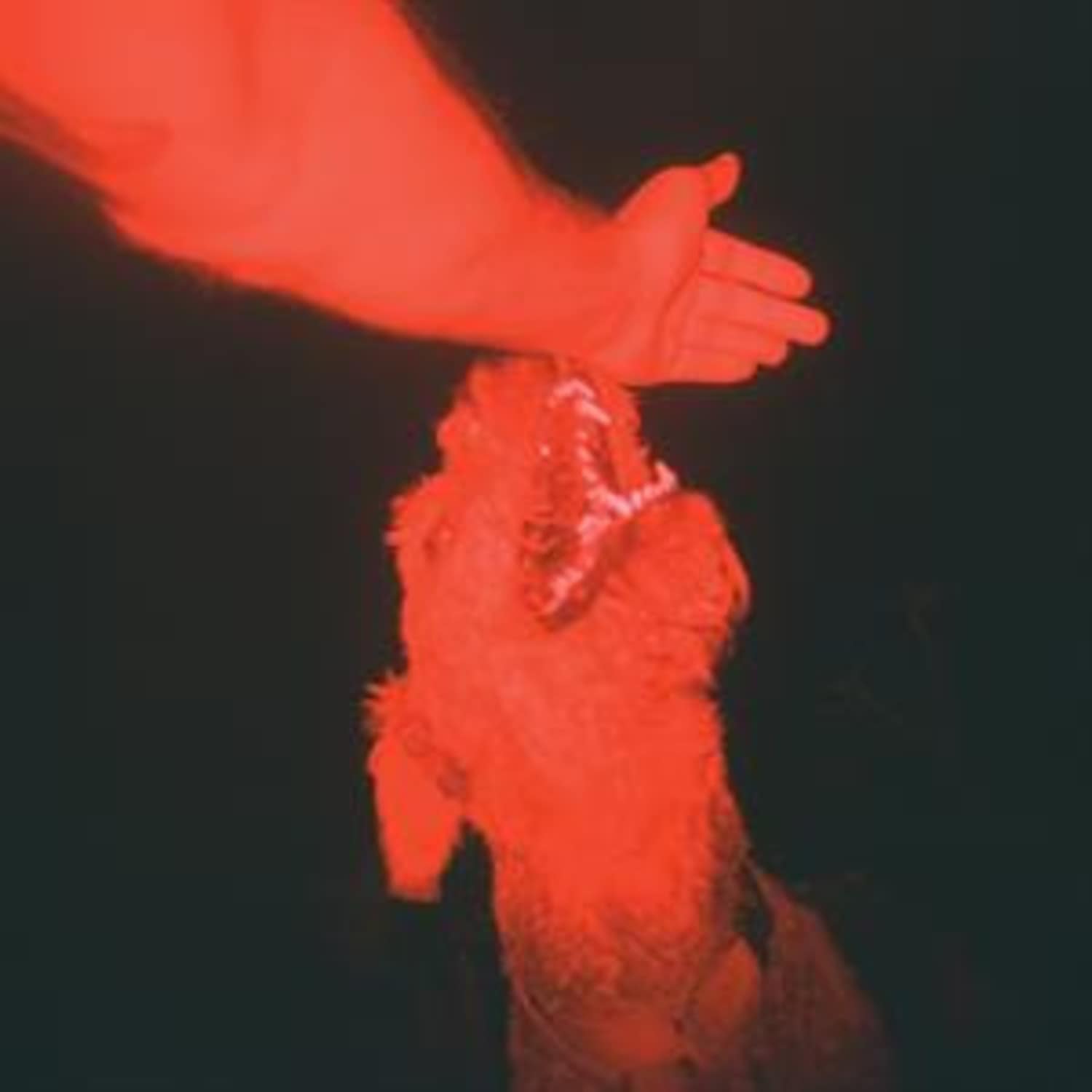 Eli Winter - A TRICK OF THE LIGHT