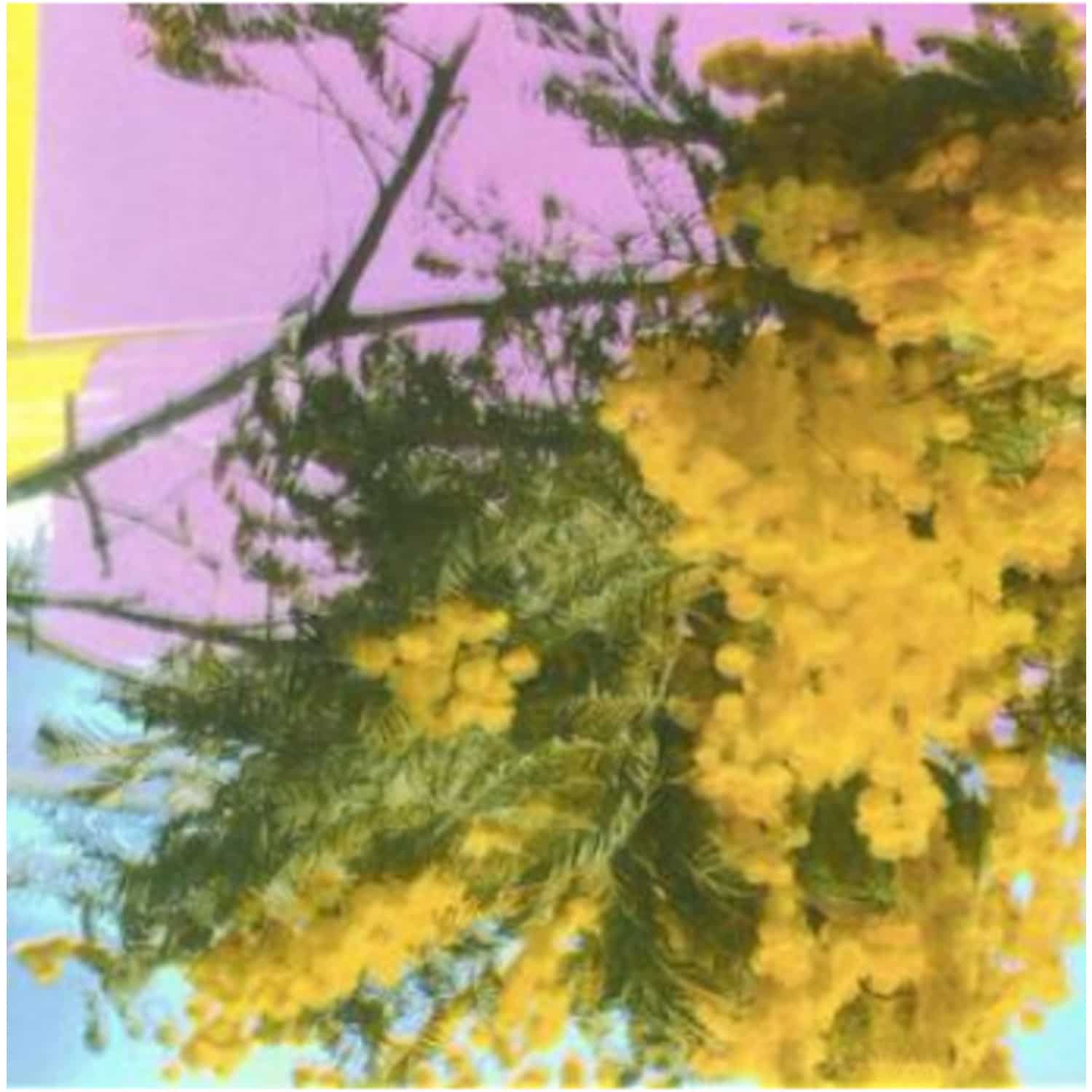 Four Tet - INTO THE DUST 