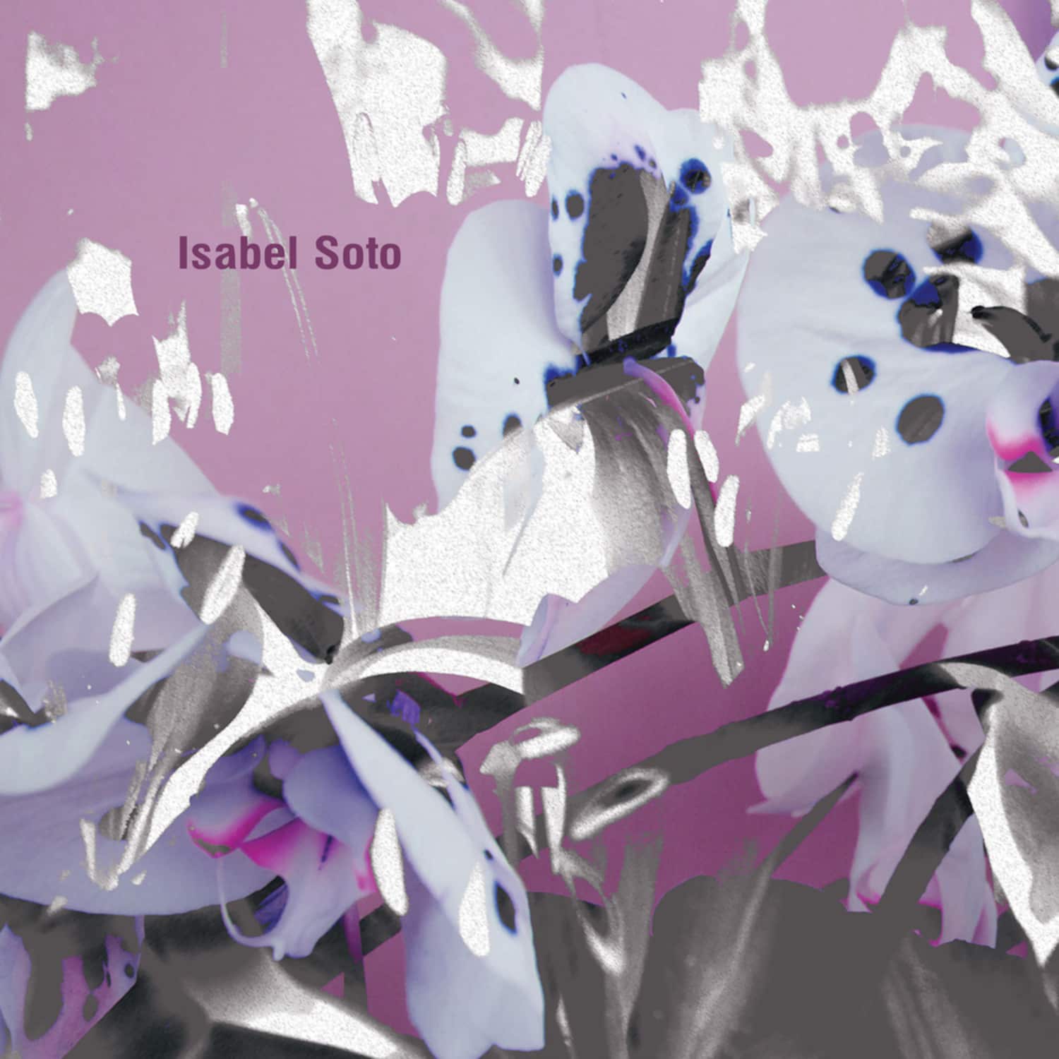 Isabel Soto - MORPHOSIS