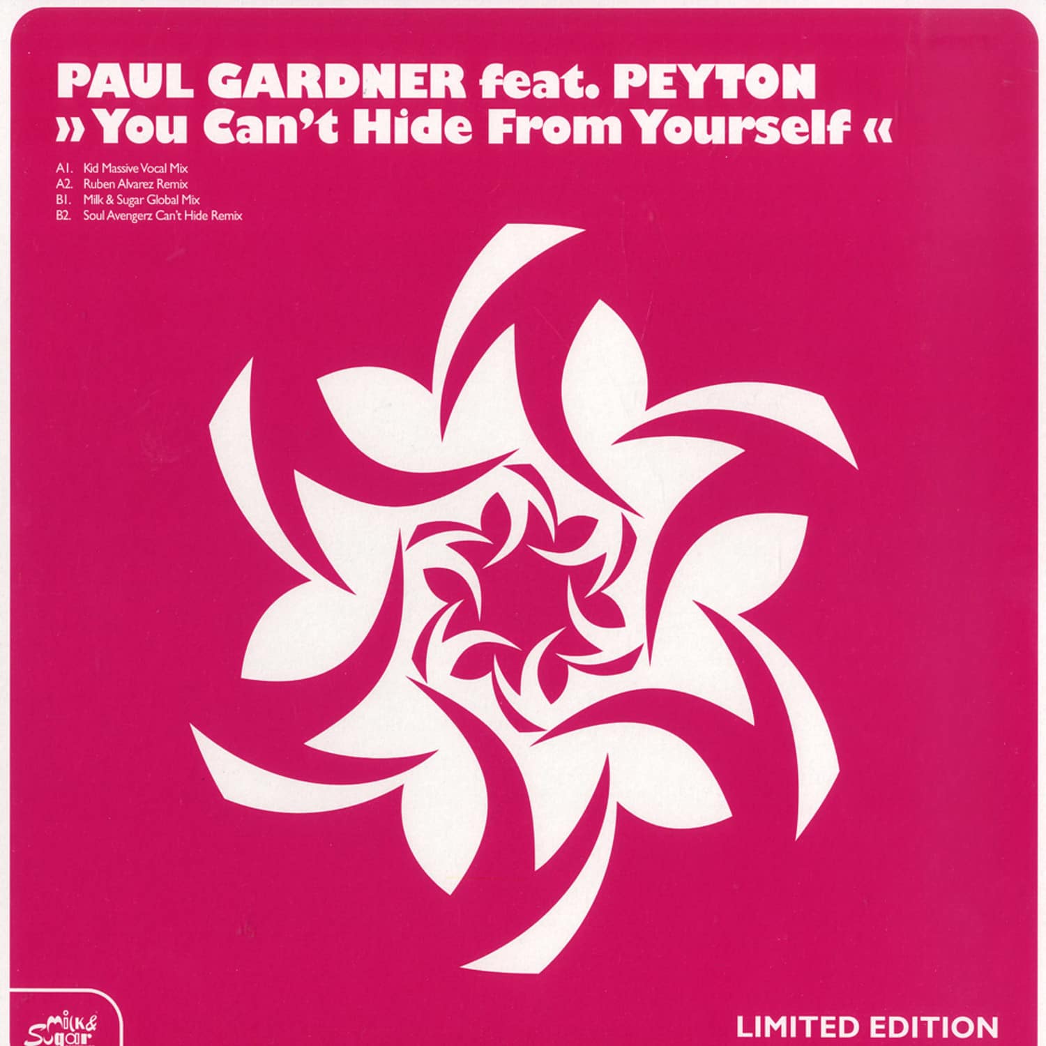 Paul Gardner feat Peyton - YOU CANT HIDE FROM YOURSELF
