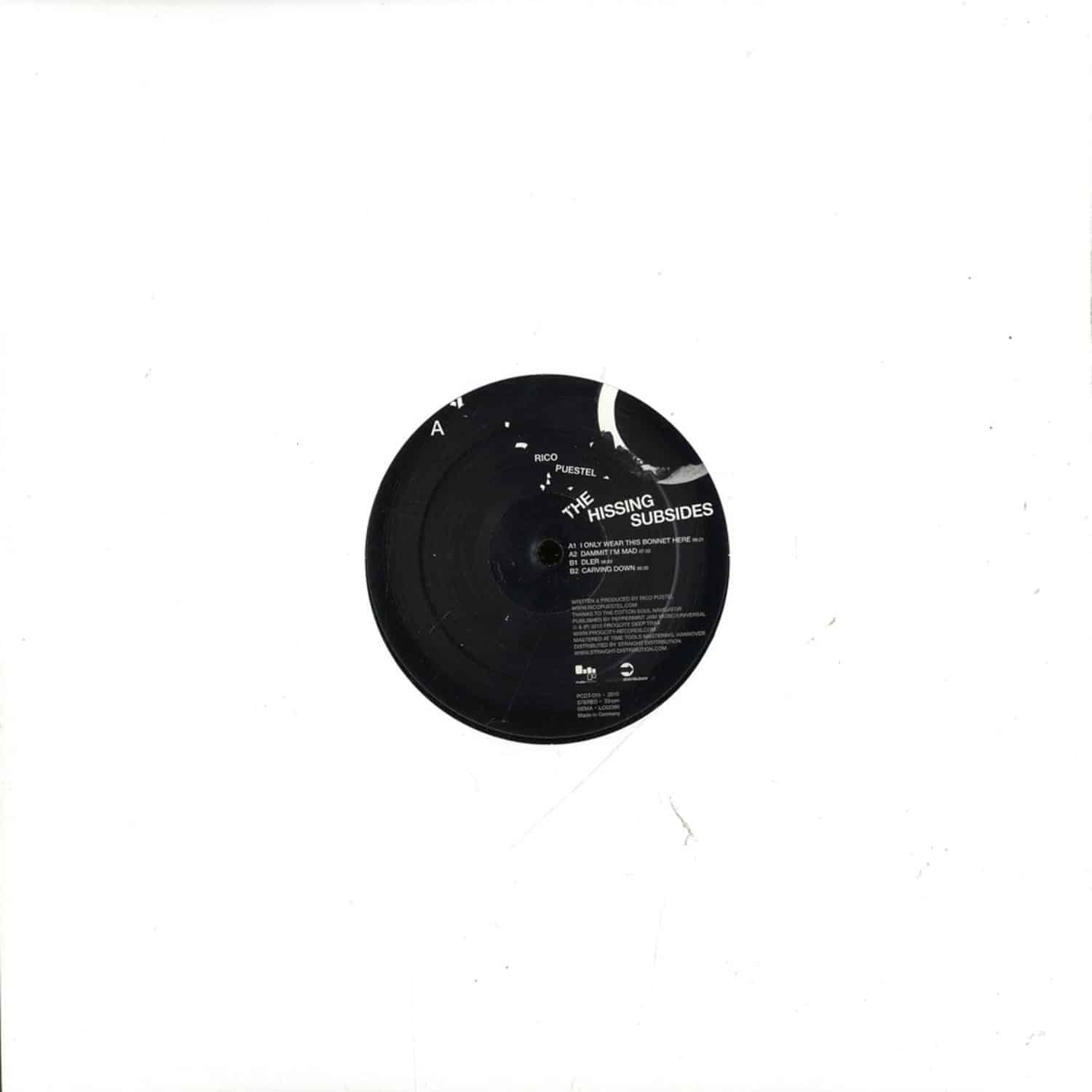 Rico Puestel - THE HISSING SUBSIDES