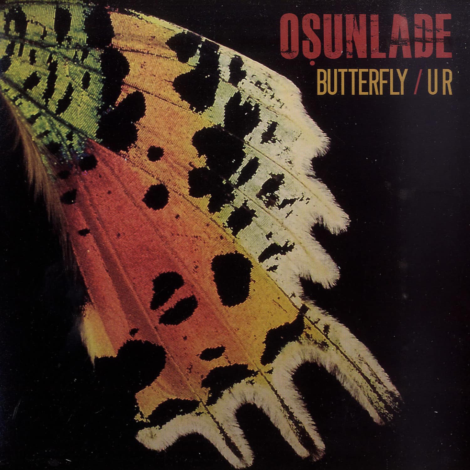Osunlade - BUTTERFLY / UR 
