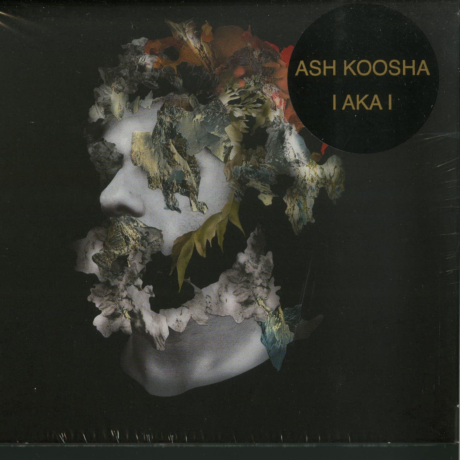 Ash Koosha - I AKA I 