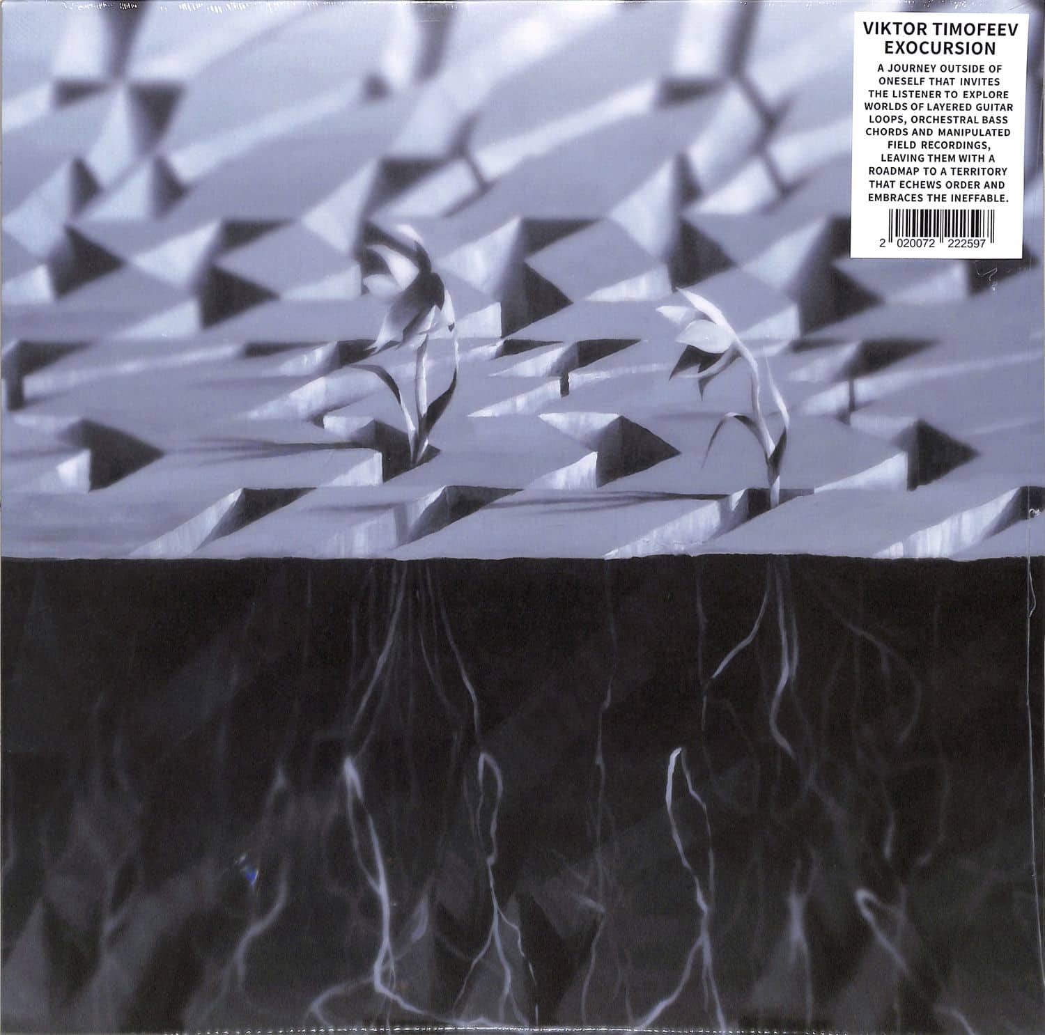 Viktor Timofeev - EXOCURSION 