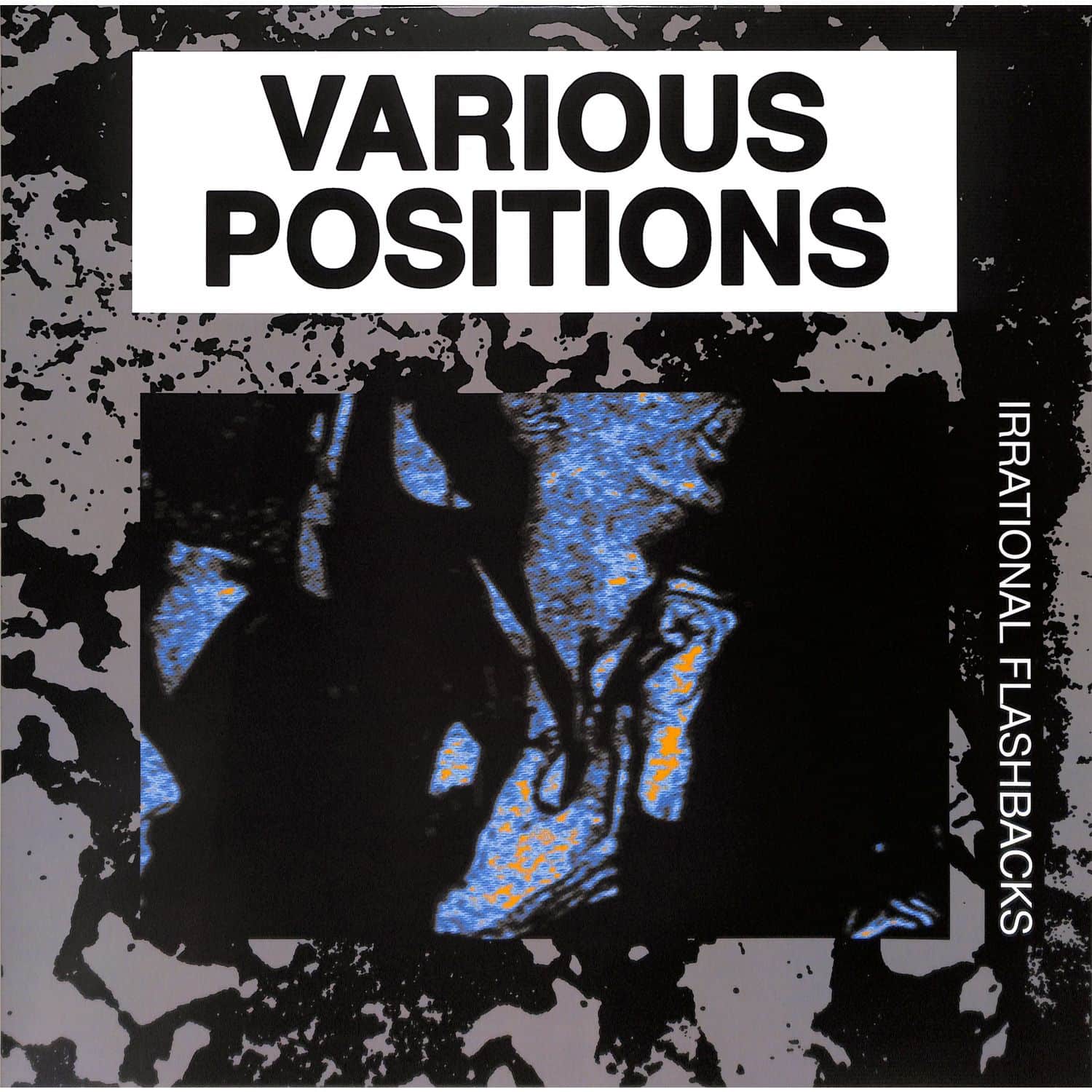 Various Positions - IRRATIONAL FLASHBACKS