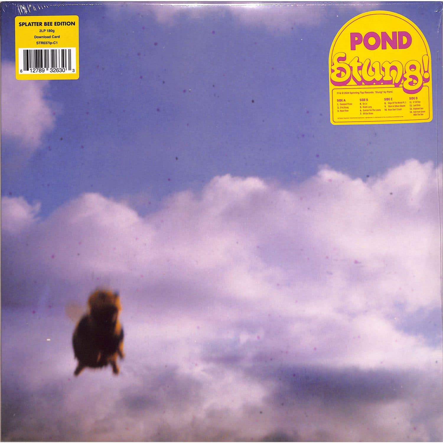 Pond - STUNG 