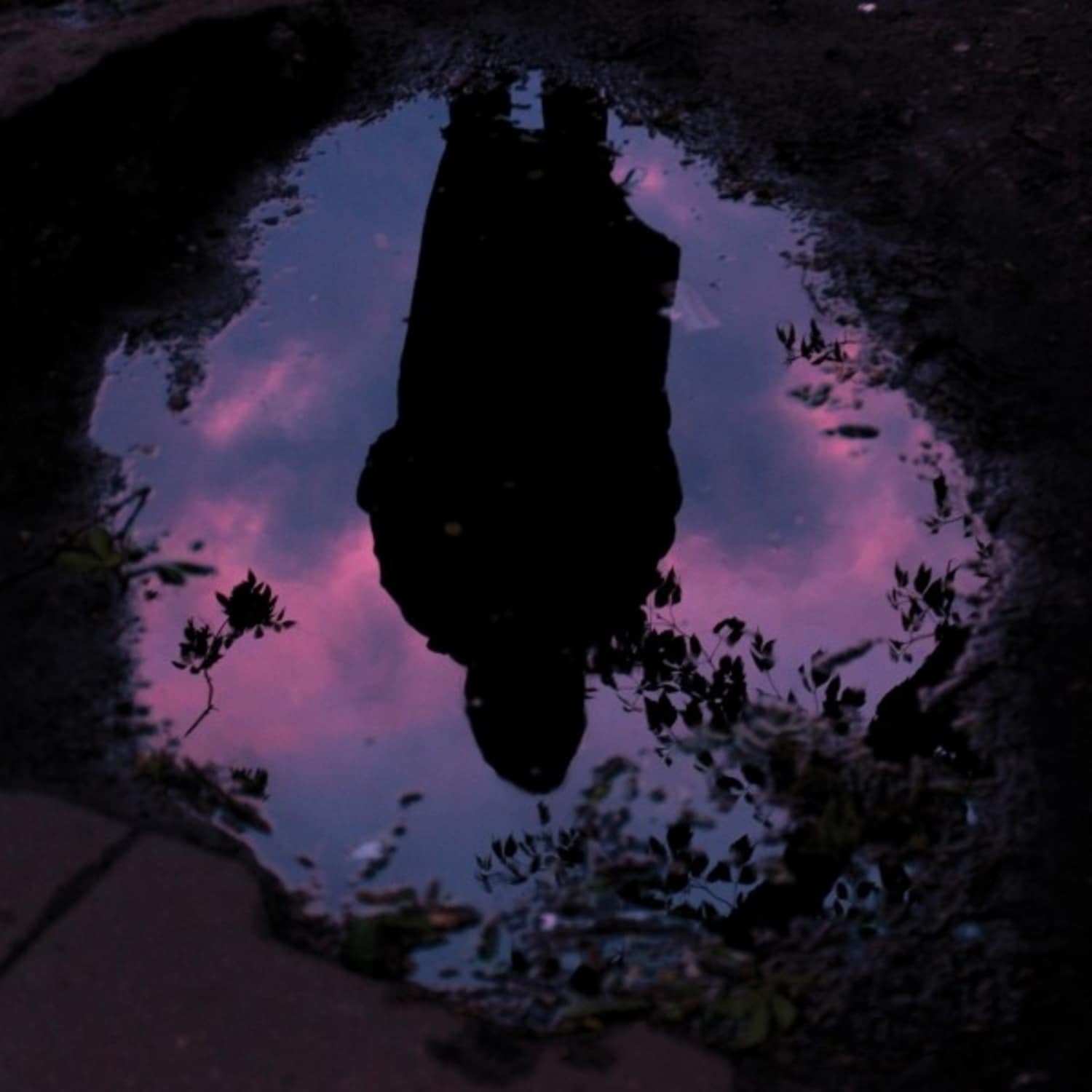 Slow Crush - AURORA 