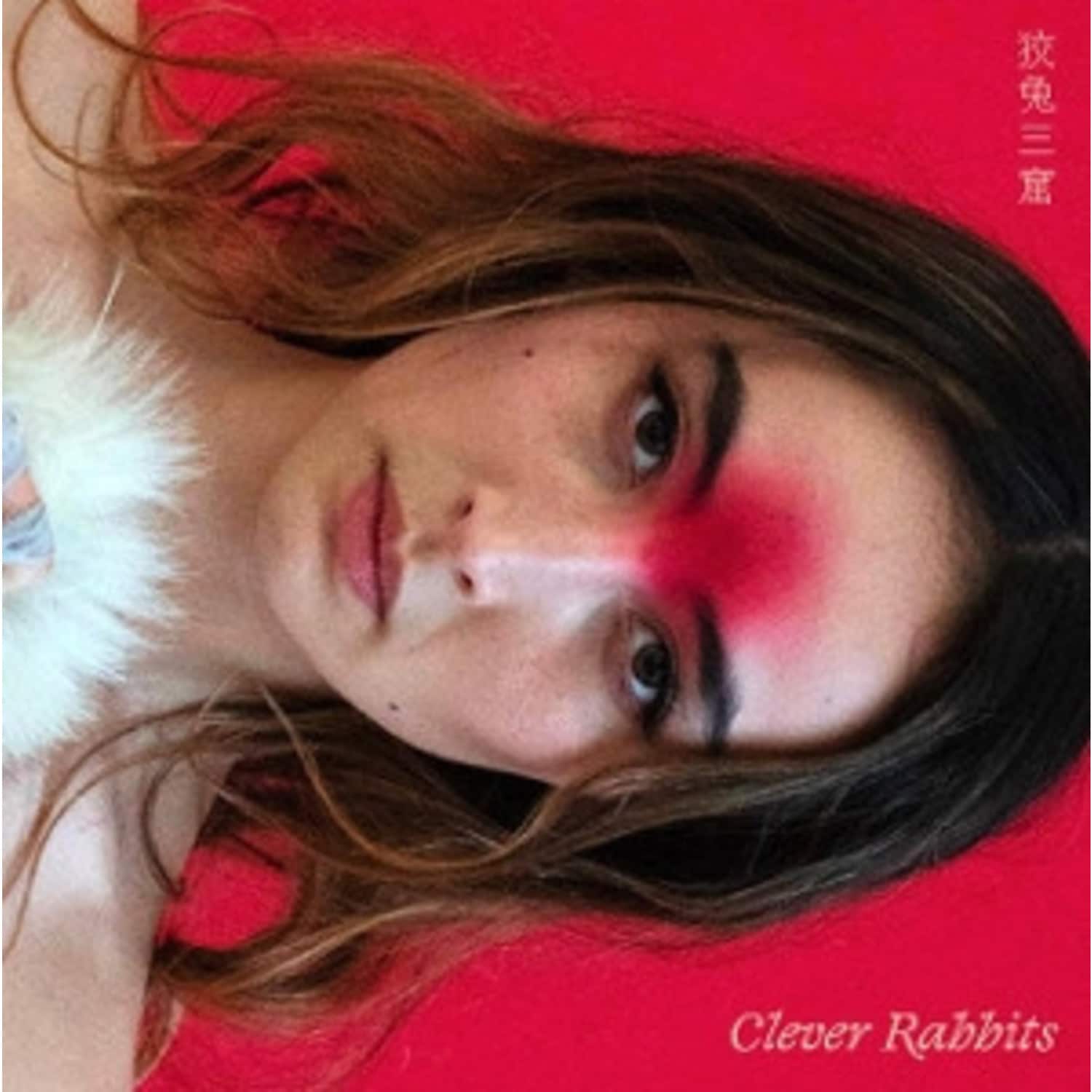 Ann Liu Cannon - CLEVER RABBITS 