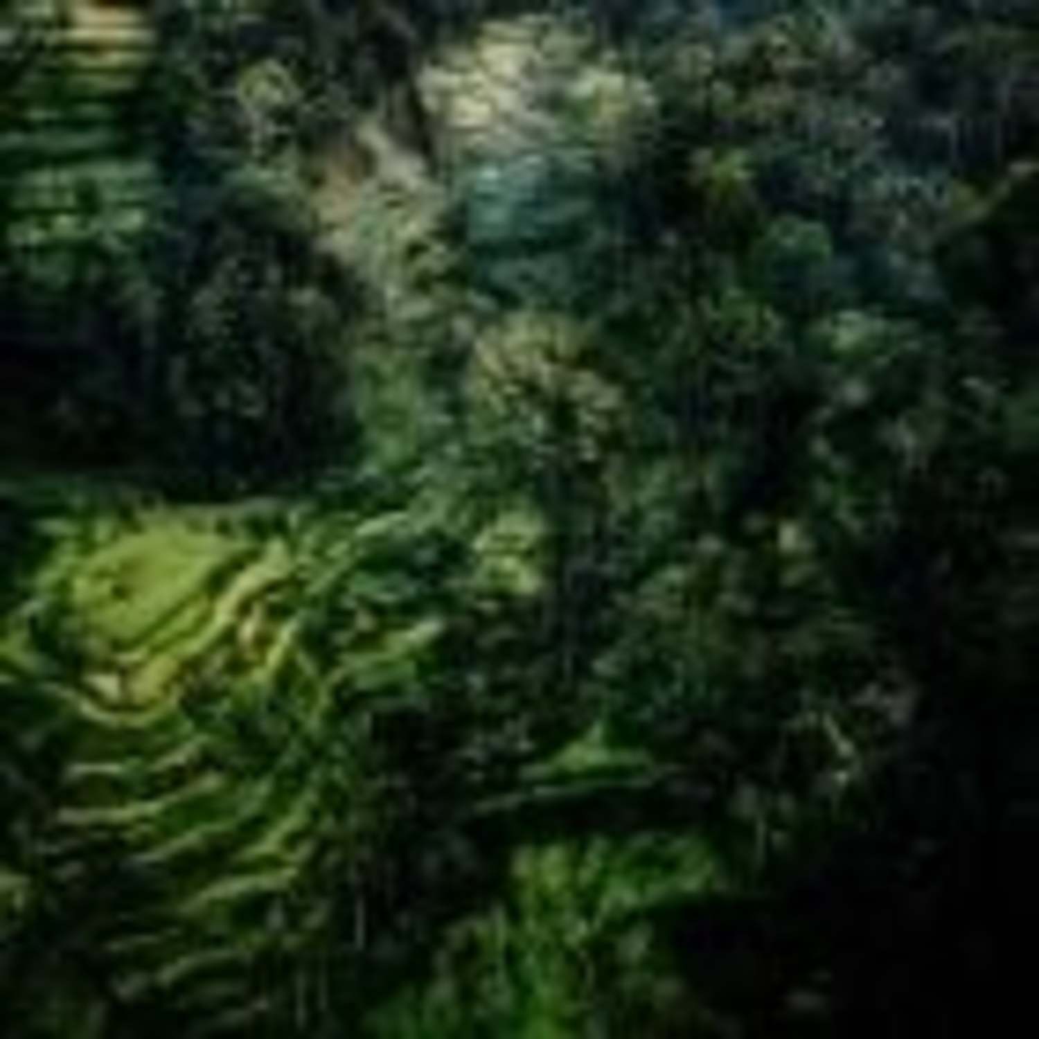 Antigone - NO COUNTRY FOR OLD MEN