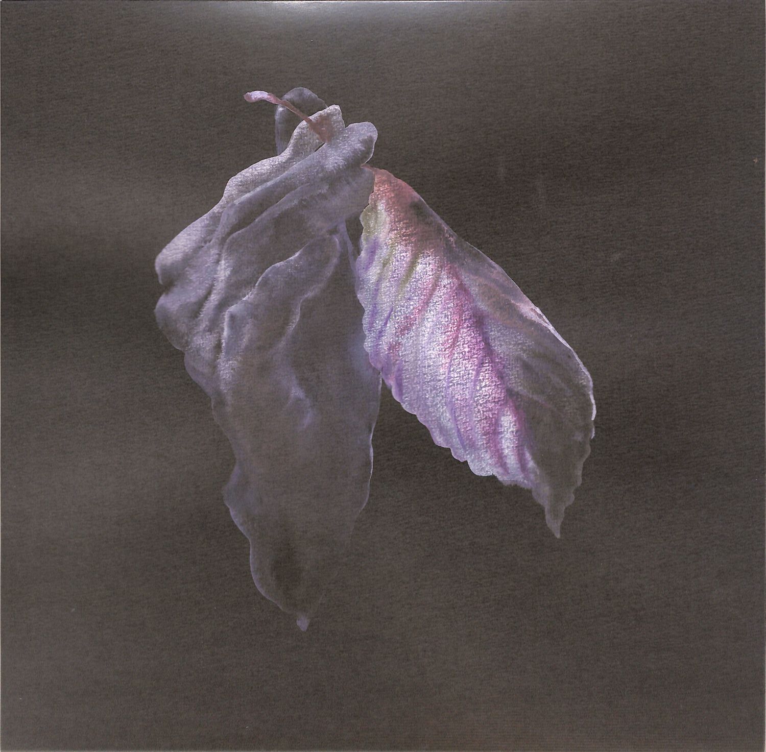 Strapontin - SASNAL PARK EP