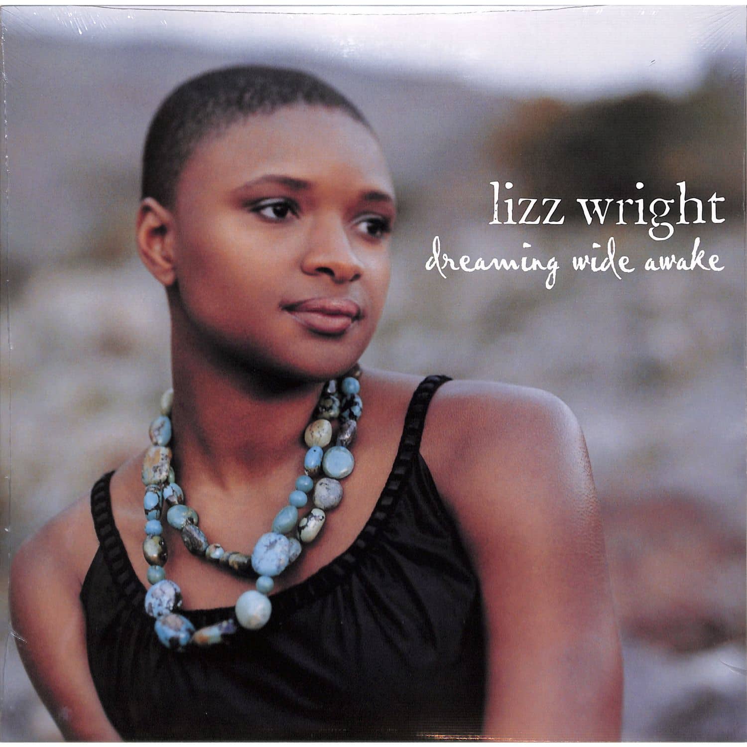 Lizz Wright - DREAMING WIDE AWAKE 