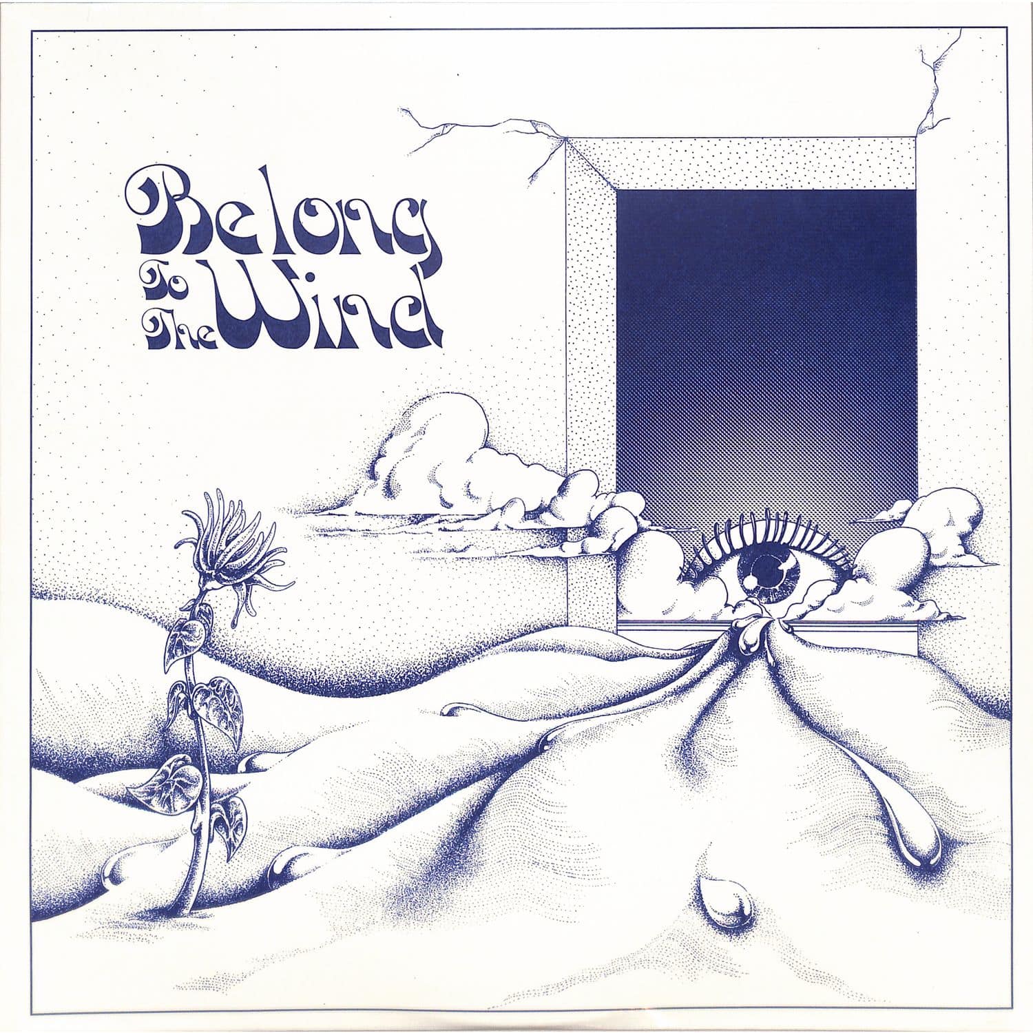 Various Artists - BELONG TO THE WIND -2022 REPRESS