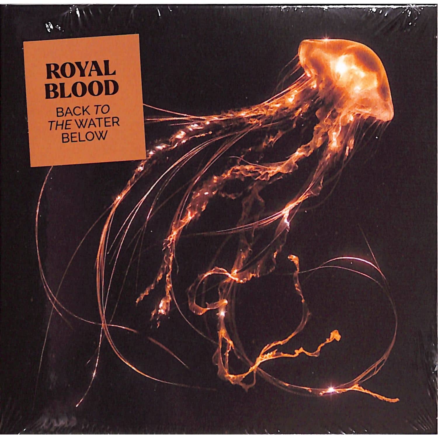 Royal Blood - BACK TO THE WATER BELOW 