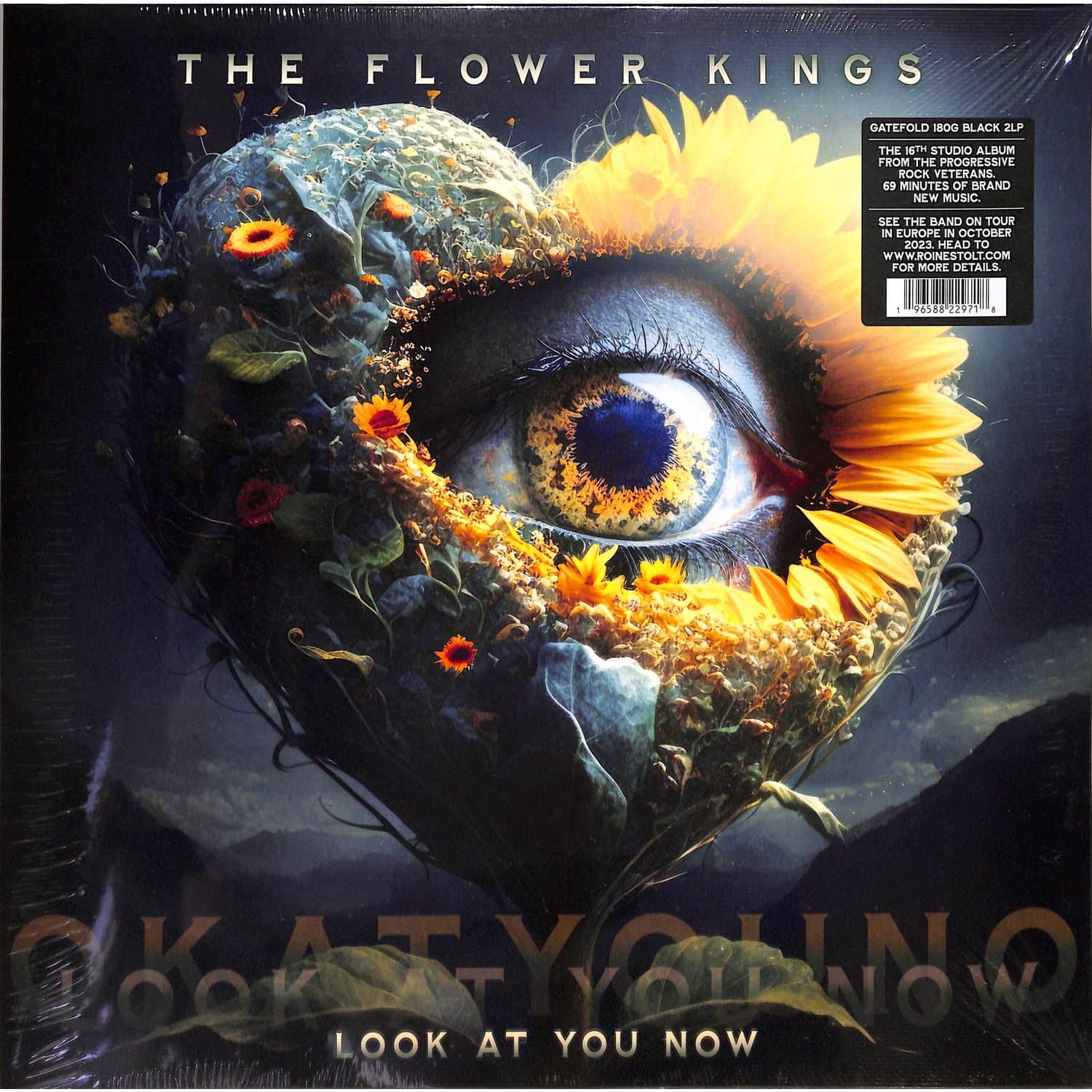 The Flower Kings - LOOK AT YOU NOW 
