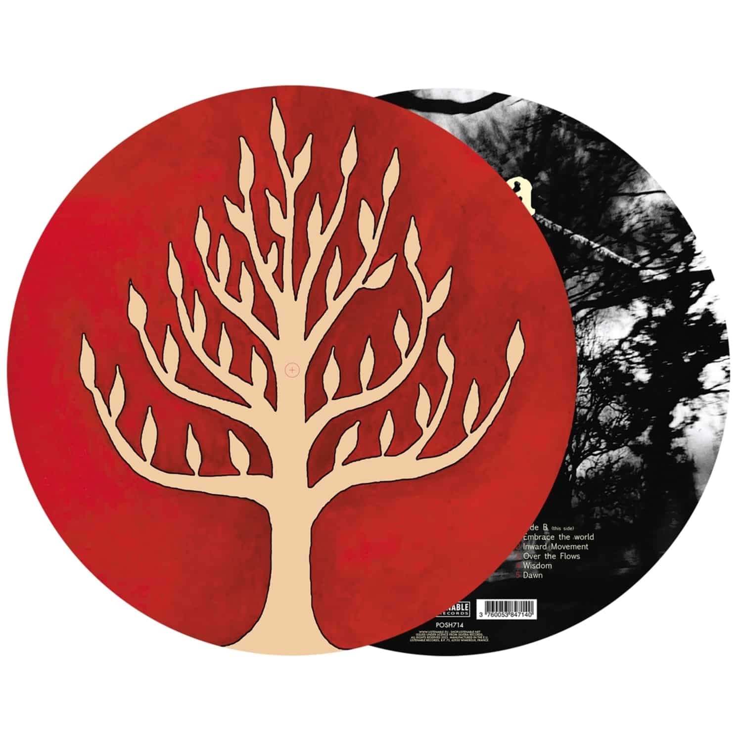 Gojira - THE LINK 