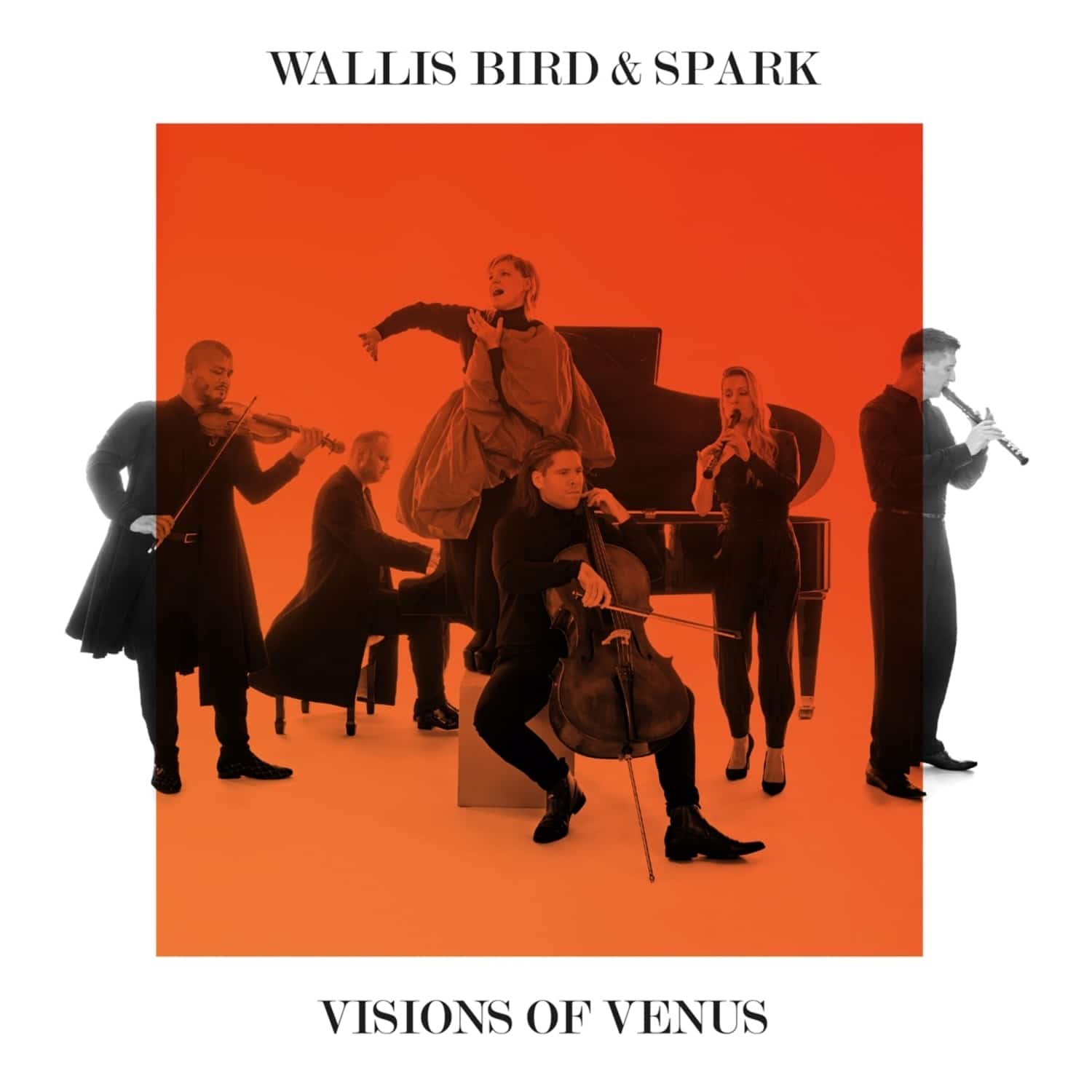 Spark / Wallis Bird - VISIONS OF VENUS 