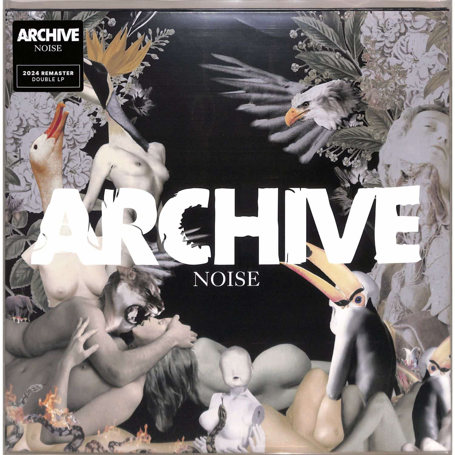 Archive - NOISE 