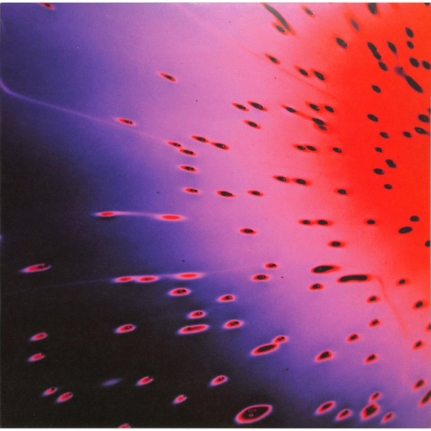 Yan Cook - XXX LP 