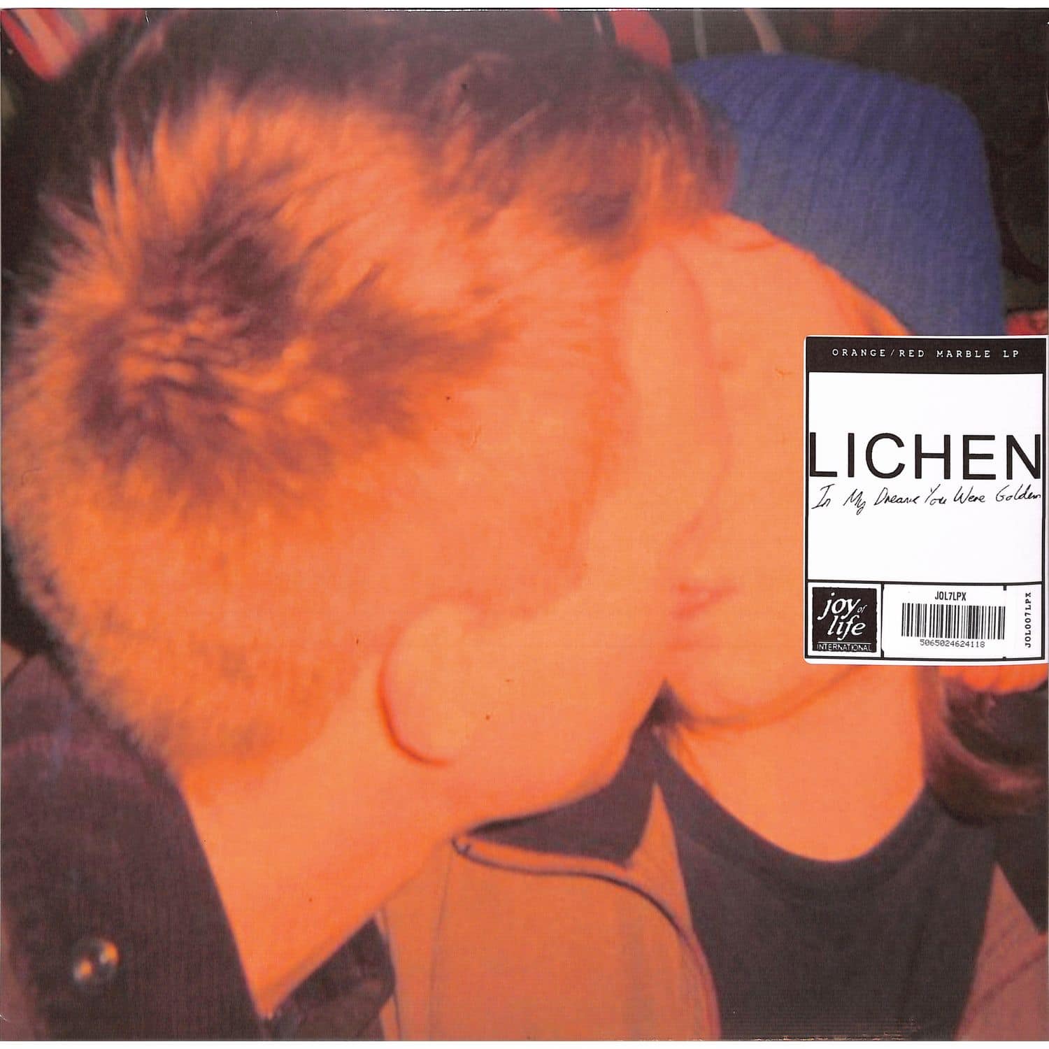 Lichen - IN MY DREAMS YOU WERE GOLDEN