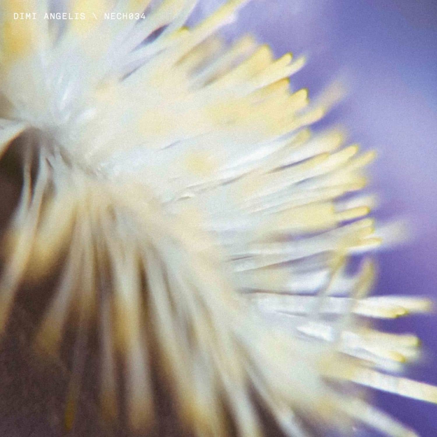Dimi Angelis - NECH034