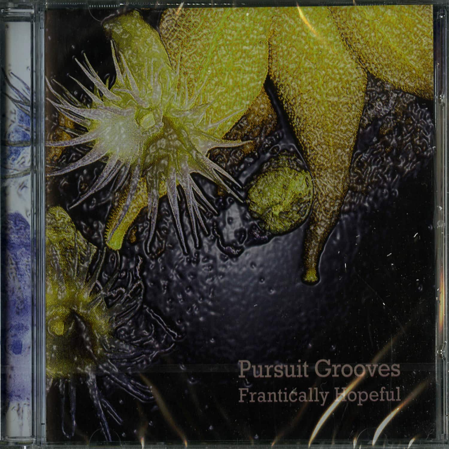 Pursuit Grooves - FRANITCALLY HOPEFUL 