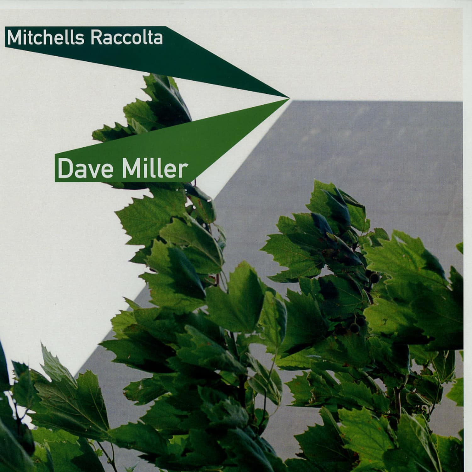 Dave Miller - MITCHELLS RACCOLTA 