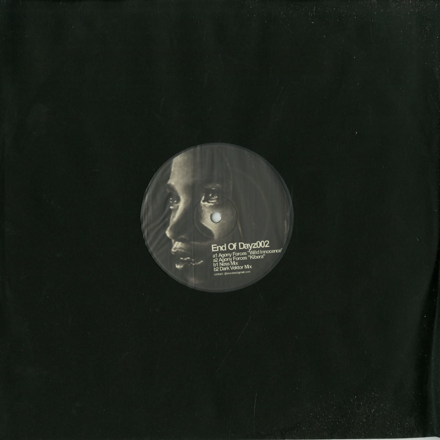 Agony Forces / Ness / Dark Vektor - END OF DAYZ 002