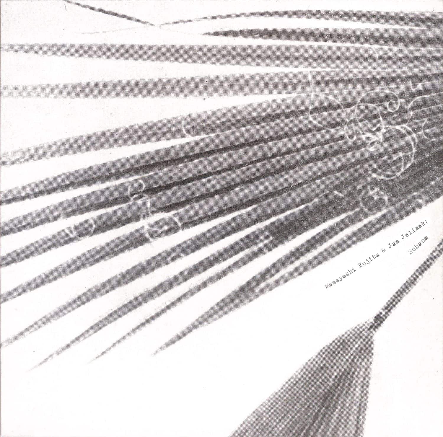 Masayoshi Fujita & Jan Jelinek - SCHAUM