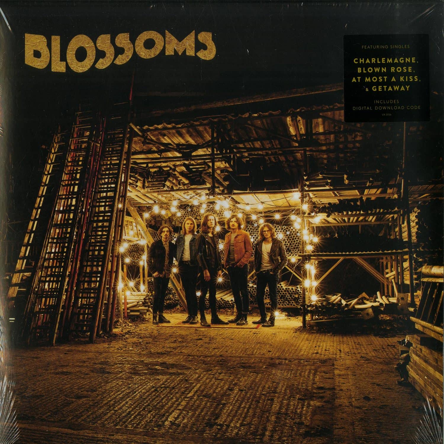 Blossoms - BLOSSOMS