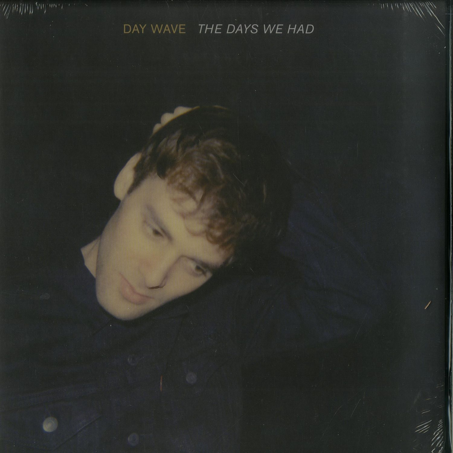 Day Wave - THE DAYS WE HAD 