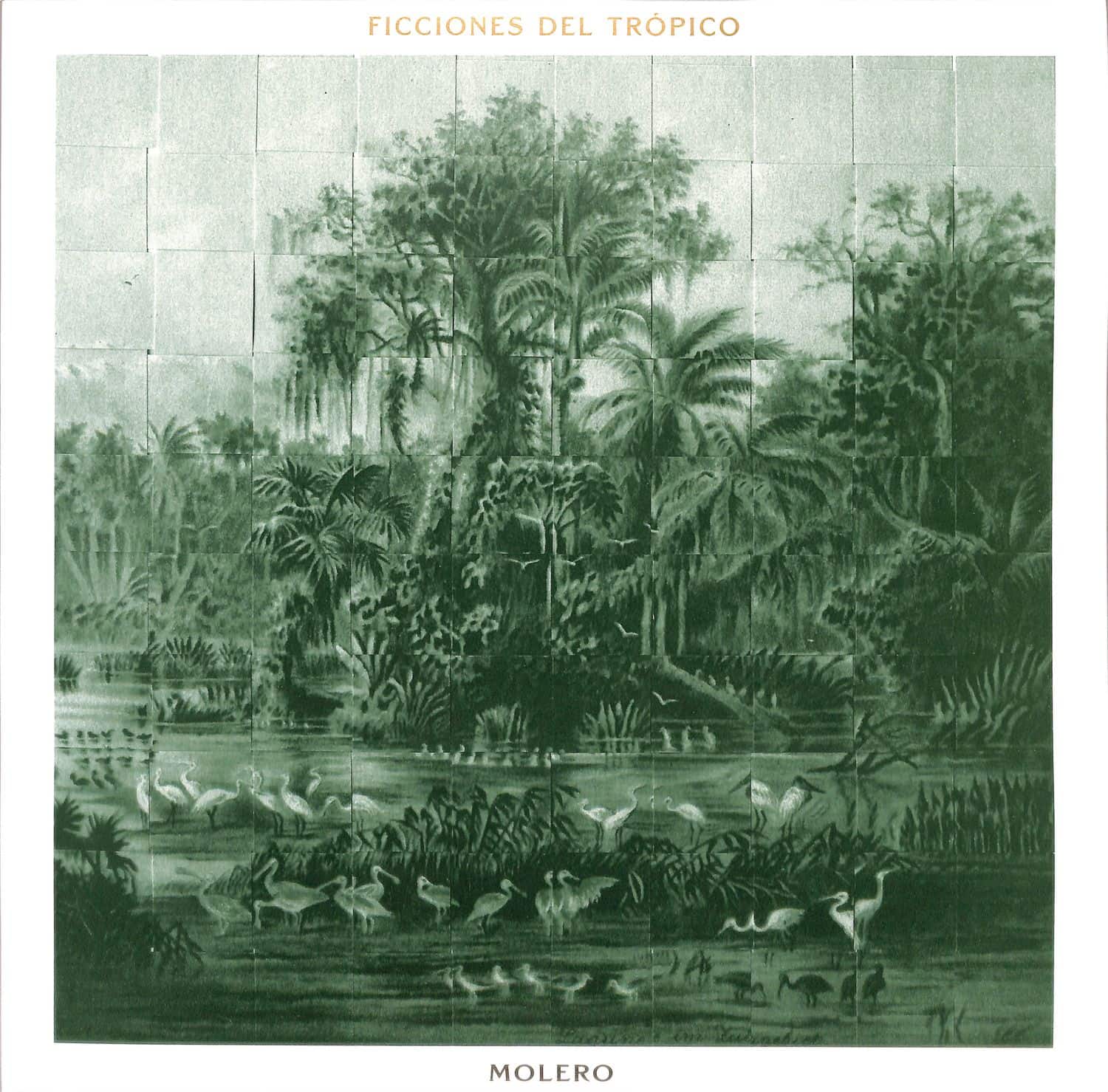 Molero - FICCIONES DEL TROPICO 