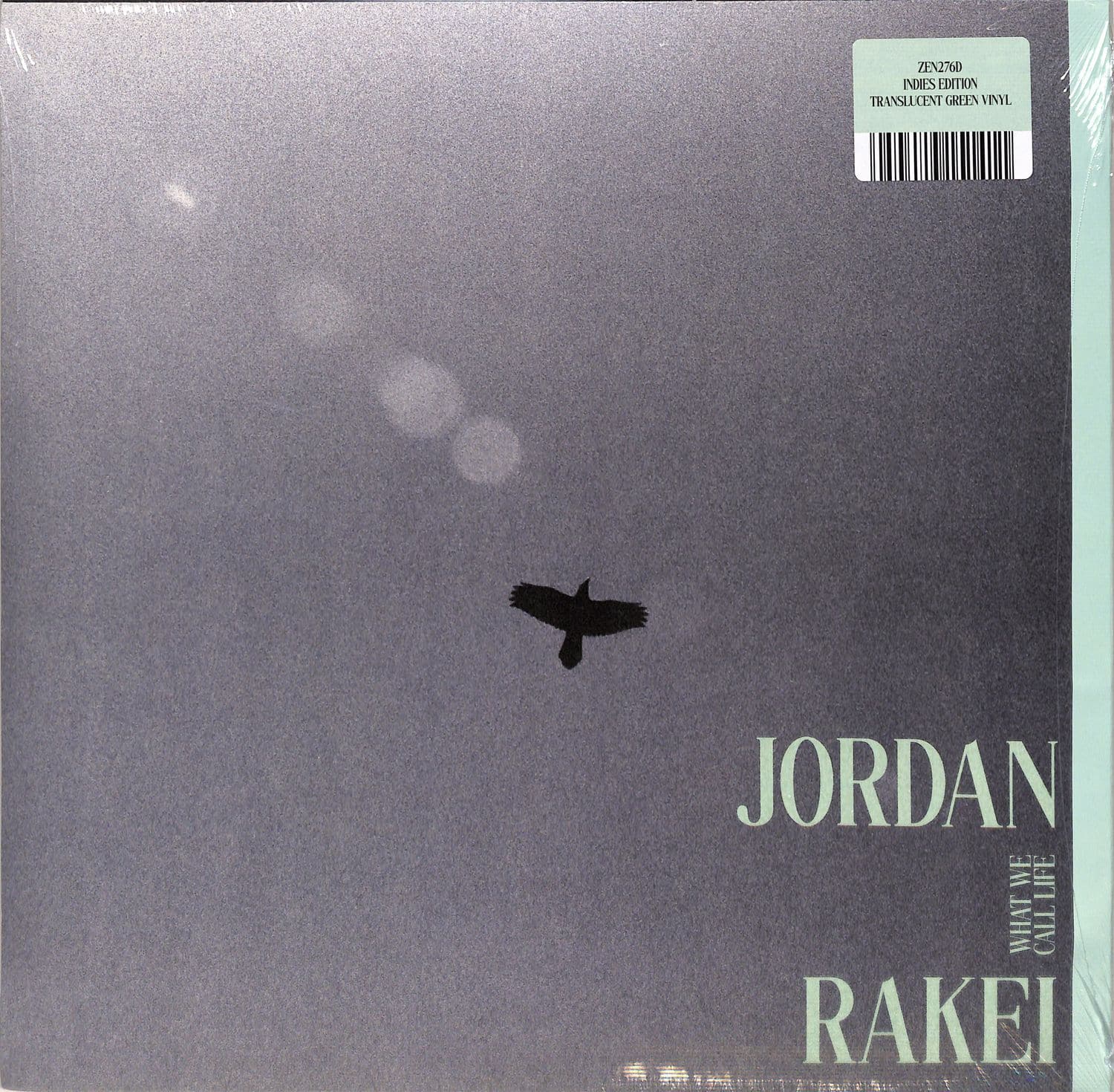 Jordan Rakei - WHAT WE CALL LIFE