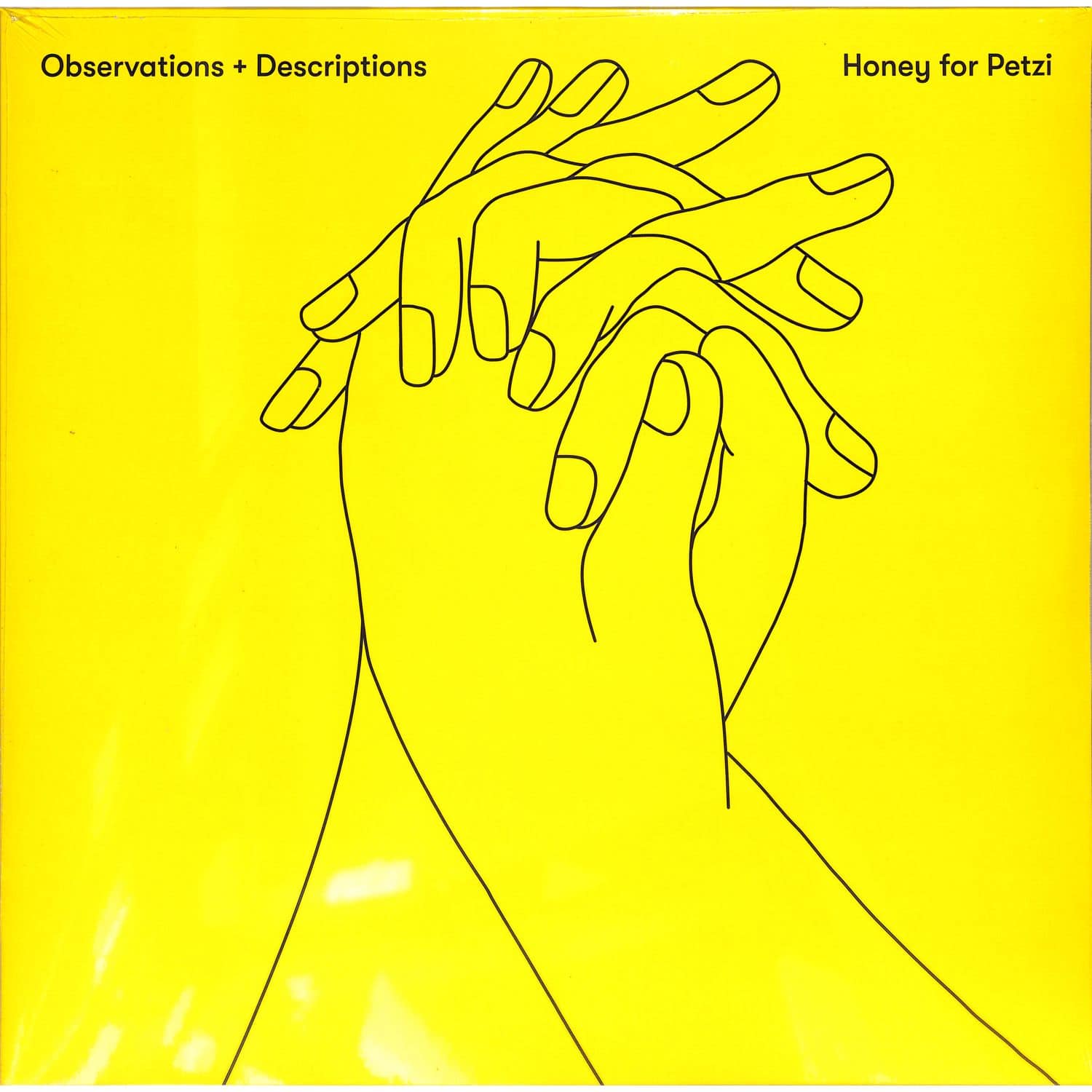 Honey For Petzi - OBSERVATIONS+DESCRIPTIONS 